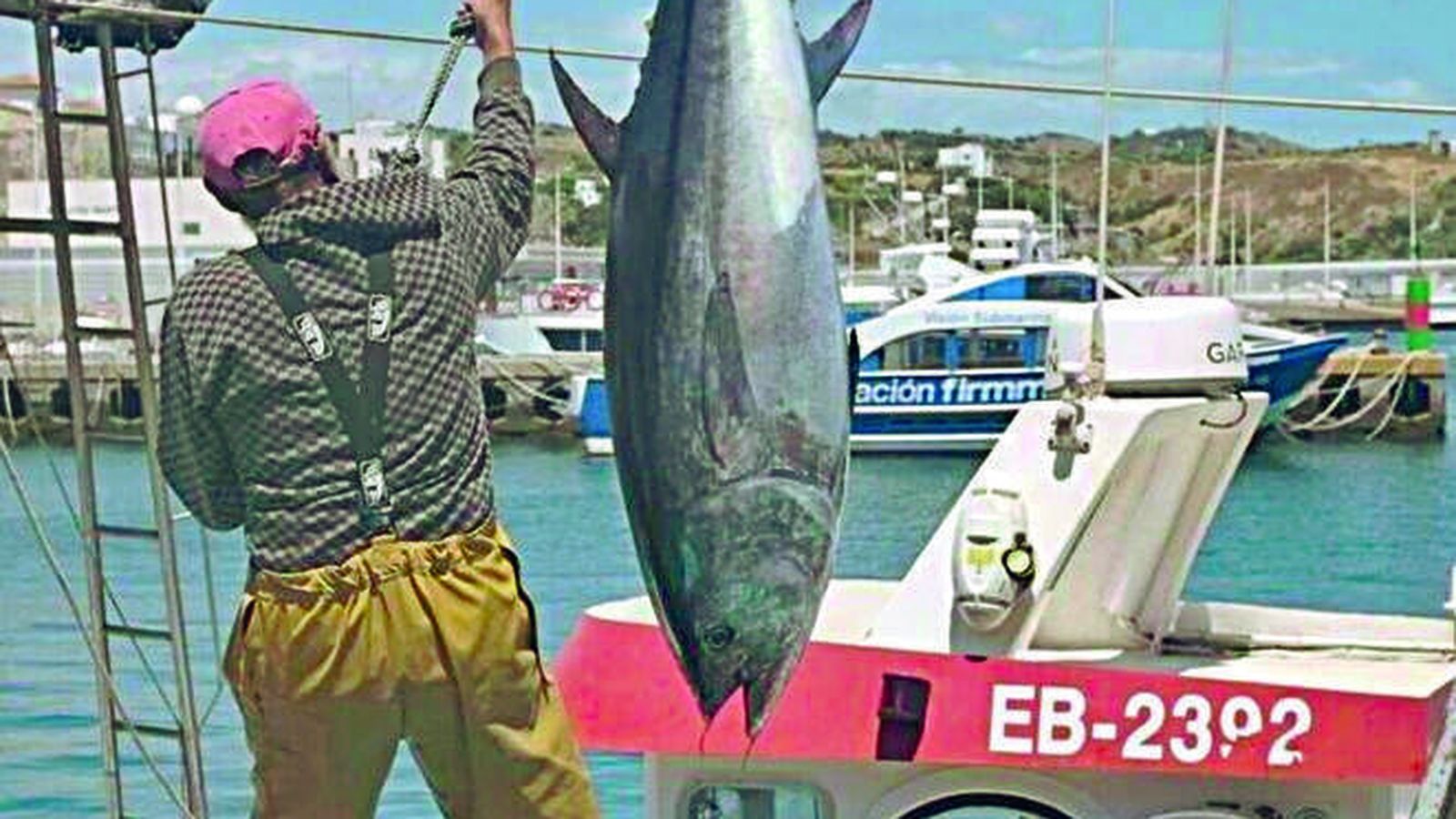 Los atunes de Tarifa son mundialmente conocidos por su calidad.