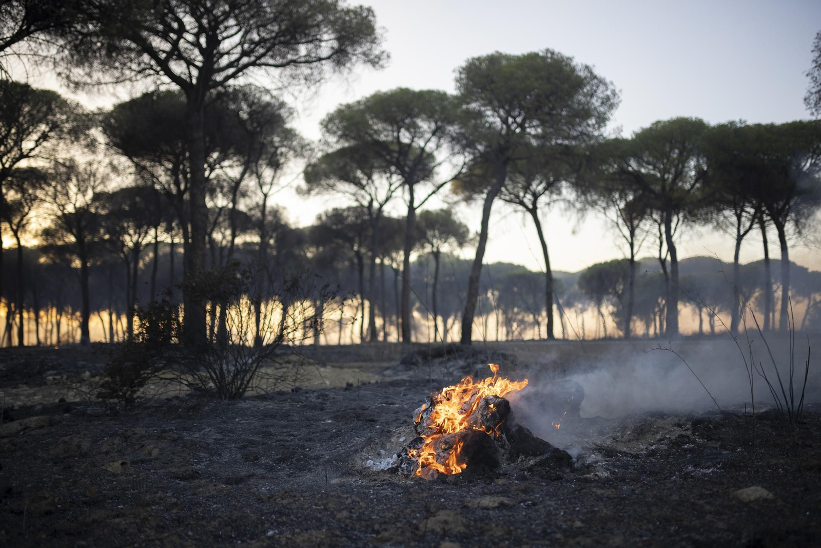 Imágenes del incendio de Bonares