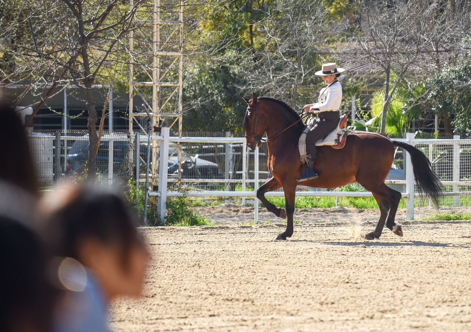 Las mejores imágenes de la Marcha Hípica Córdoba a Caballo del 28F de 2026