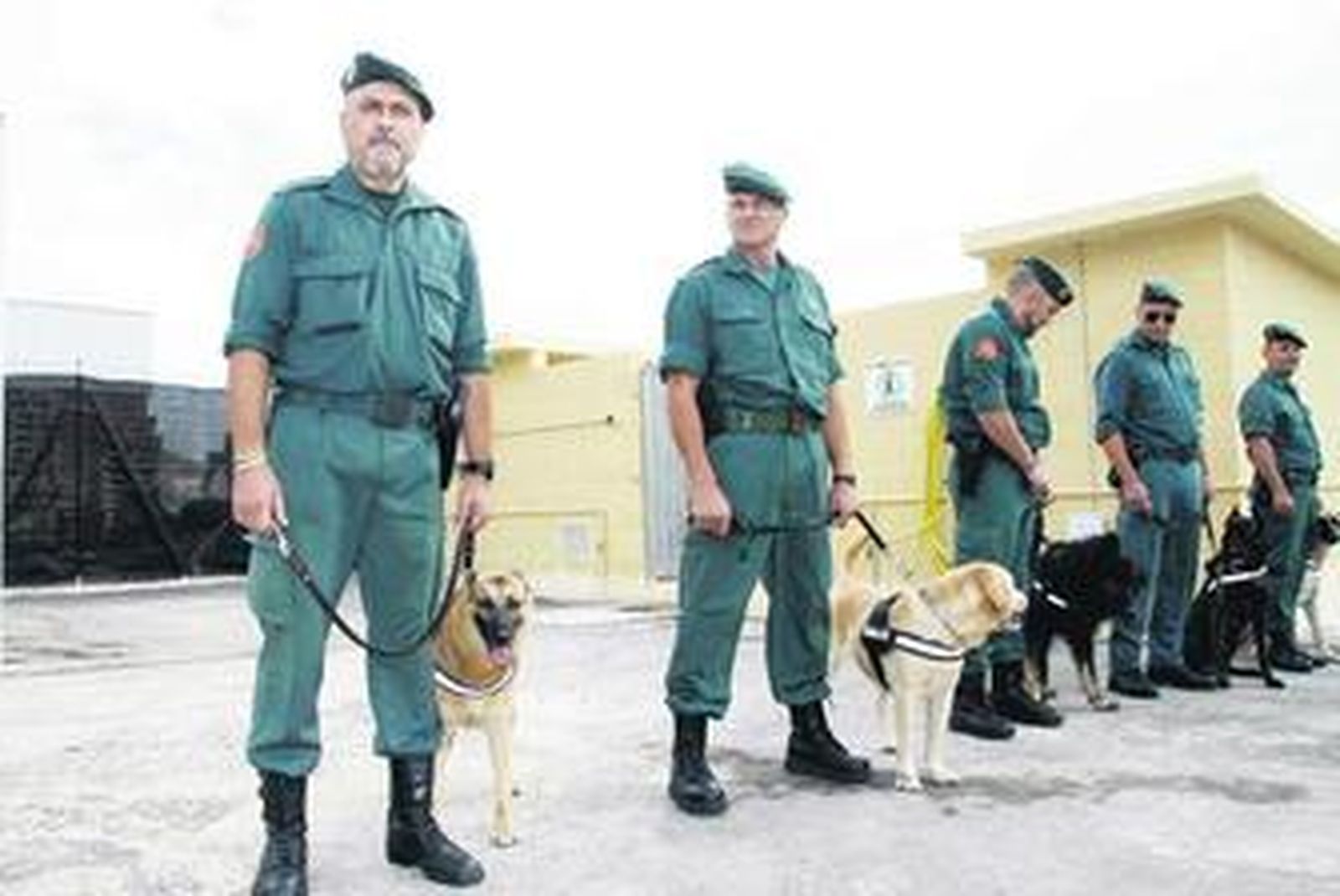 Los canes detectan 21 alijos con 1.877 kilos de hachís en solo un mes