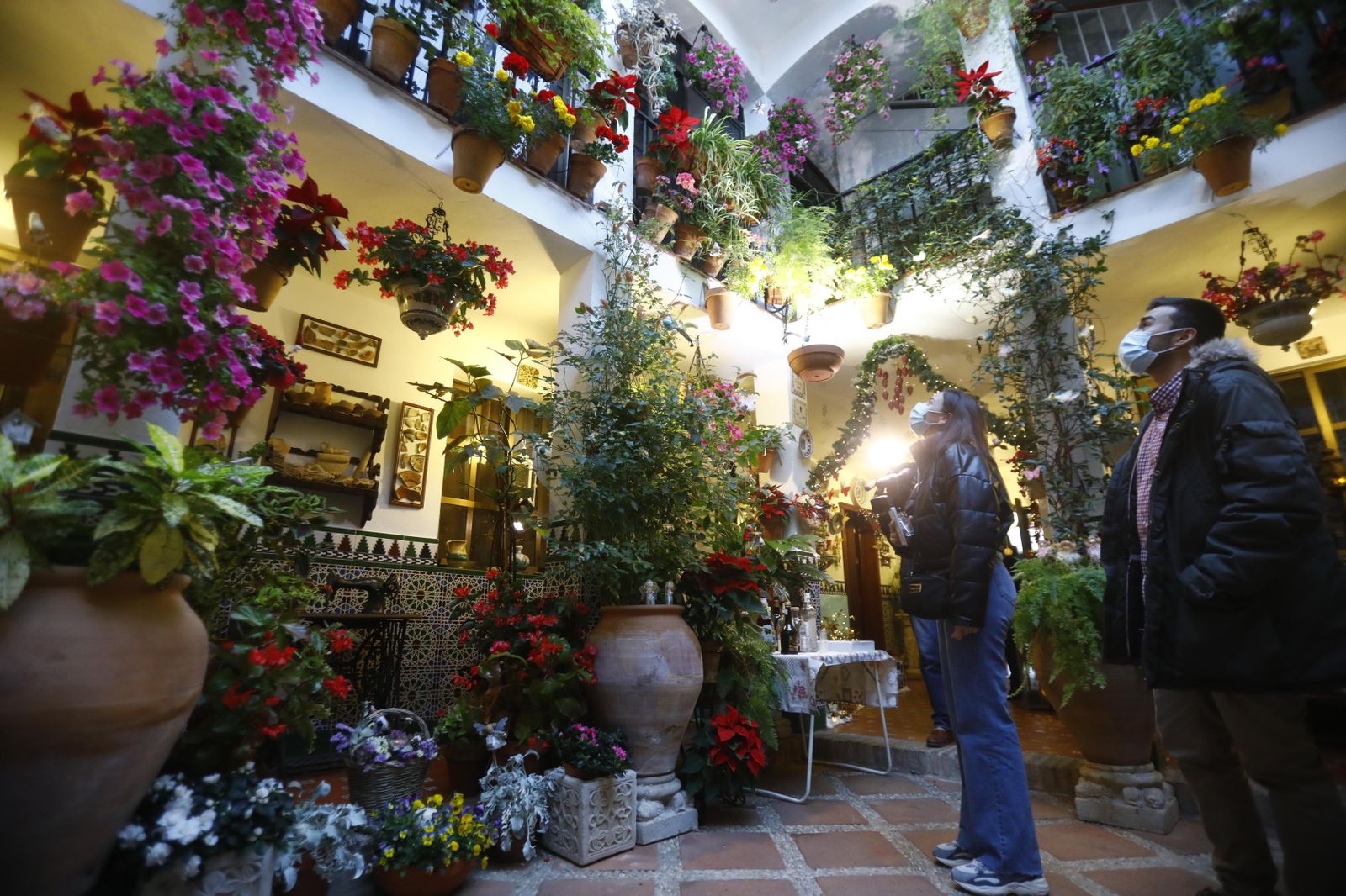Las fotografías de los Patios de Córdoba en Navidad