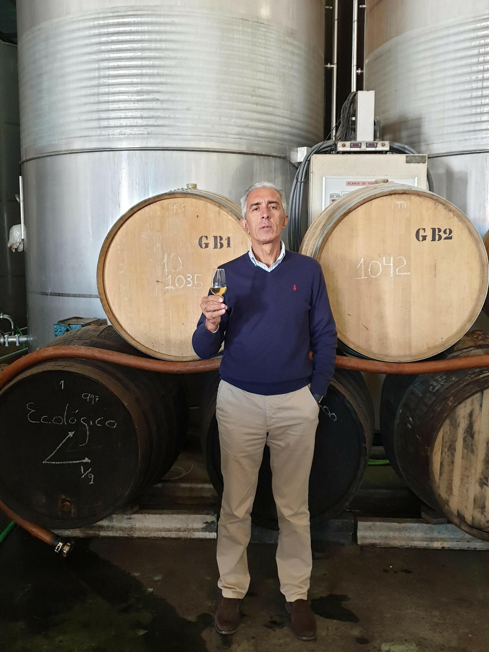 Los seis mejores mostos del Marco de Jerez