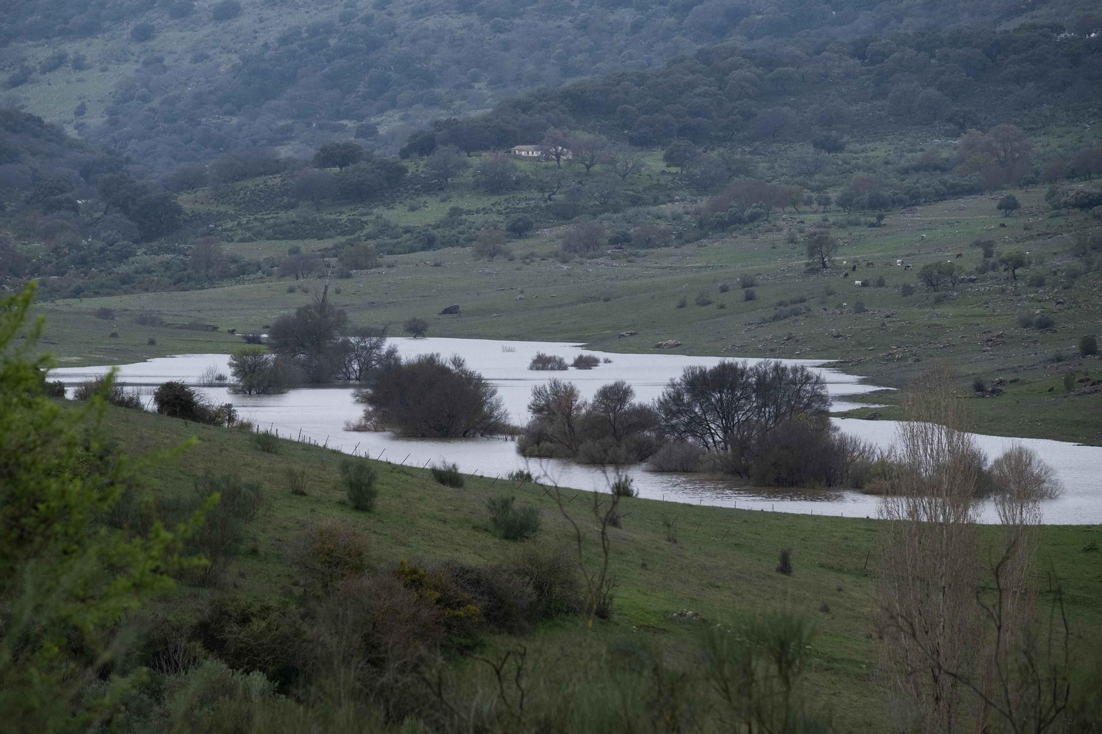 La lluvia transforma el paisaje de Málaga, en imágenes