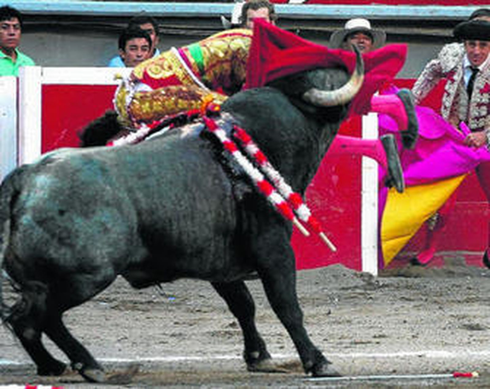 José Tomás, al borde de la tragedia tras una grave cornada
