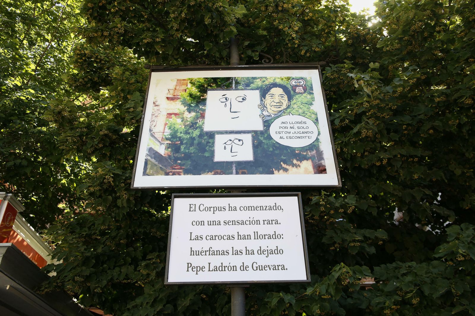 Las 20 carocas de la Feria del Corpus 2019