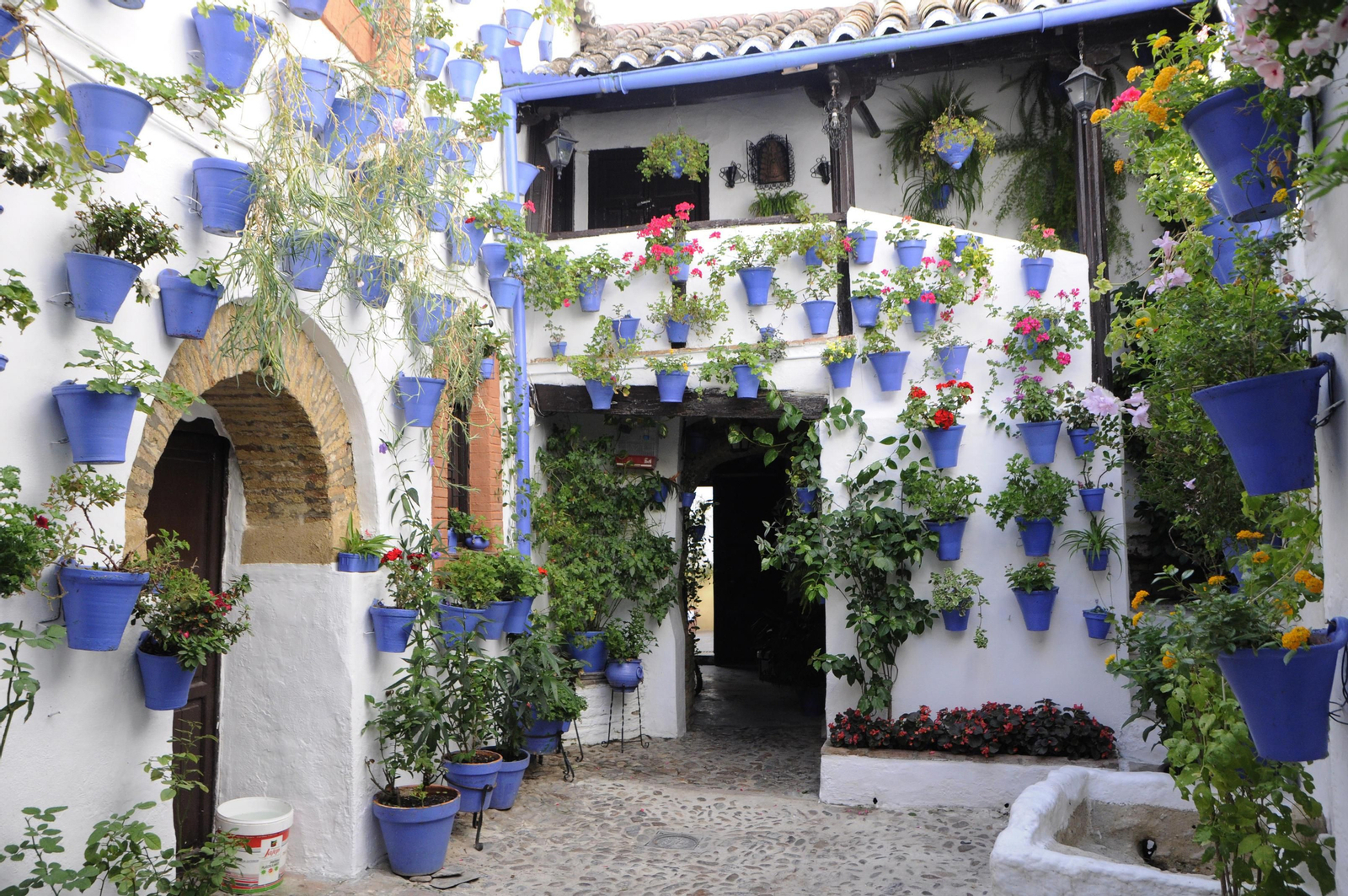 Los Patios de Córdoba se acicalan para su apertura en otoño, en fotografías
