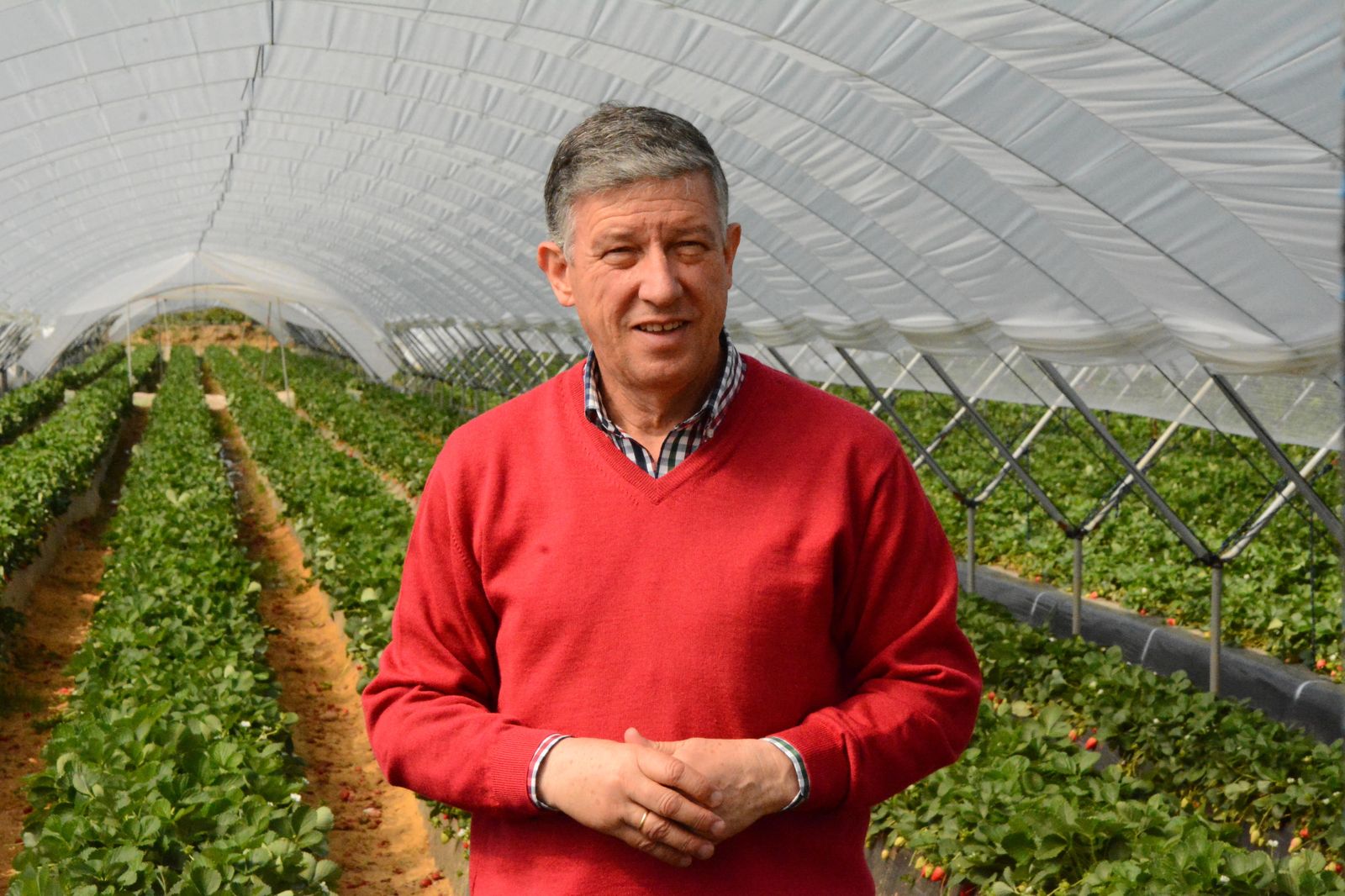 Carmelo Romero, alcalde de Palos de la Frontera.