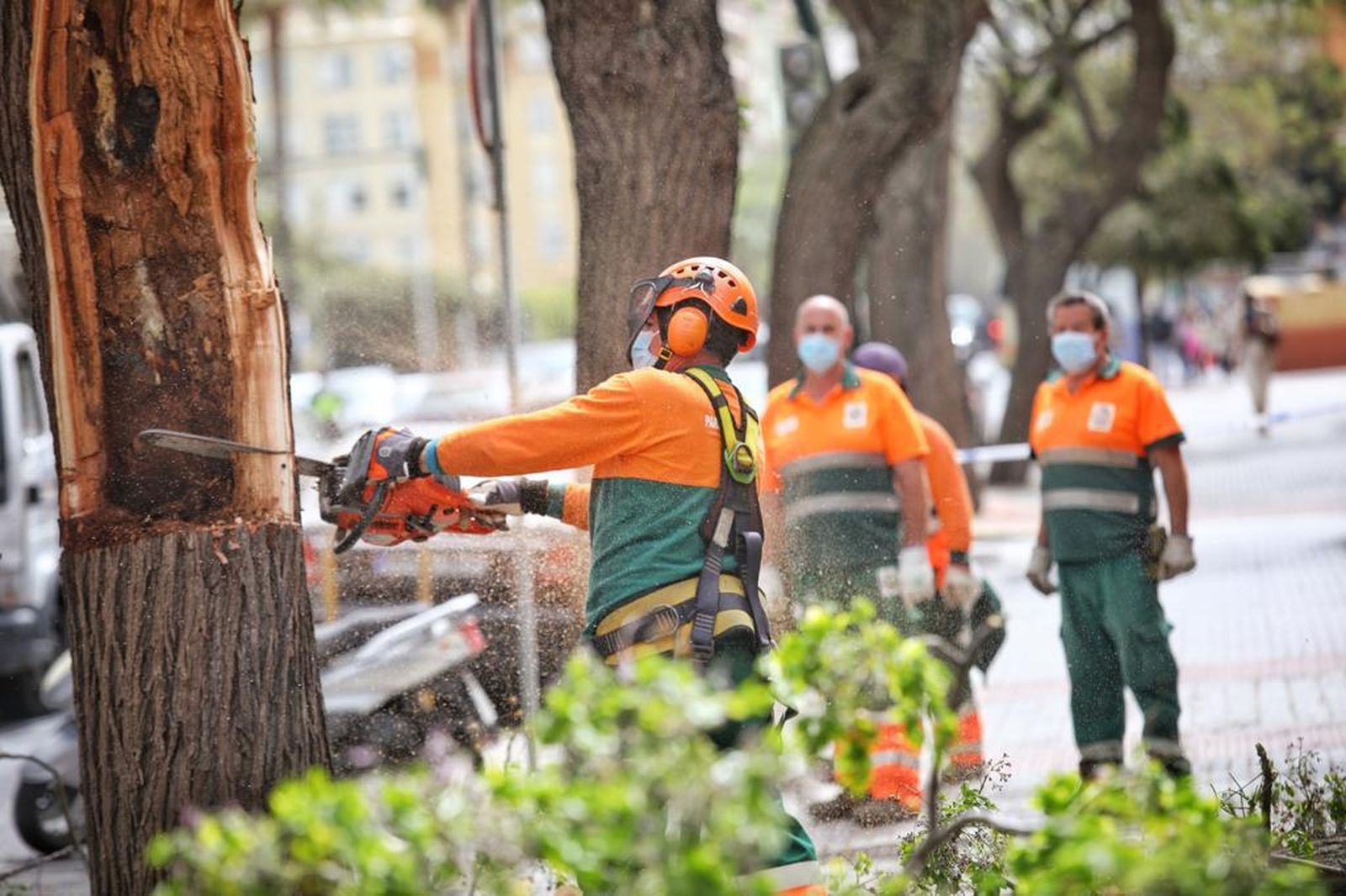 Imágenes: Los efectos del temporal de viento de Levante en Cádiz
