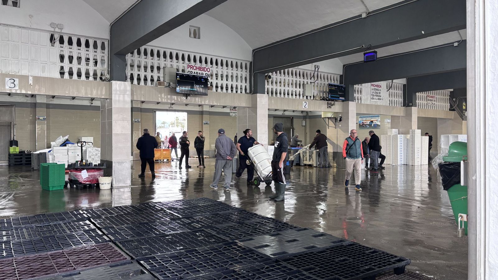 Imagen de la lonja del Puerto de Caleta de Vélez antes de una subasta de pescado
