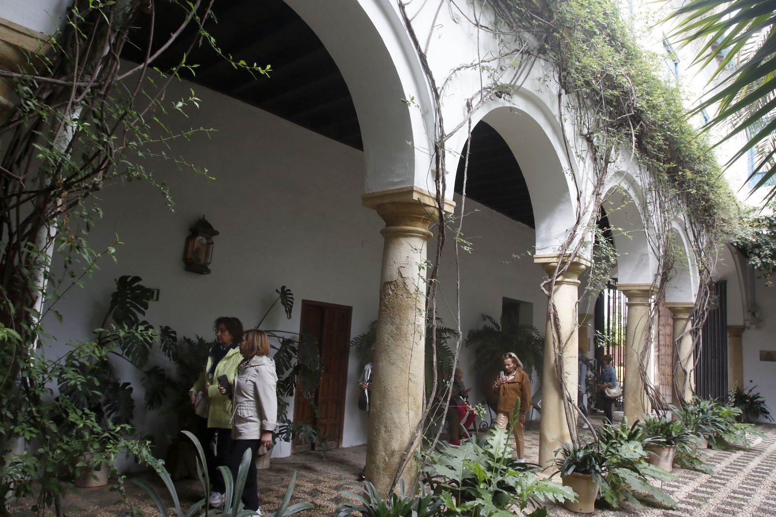 La jornada de puertas abiertas del Palacio de Viana, en imágenes