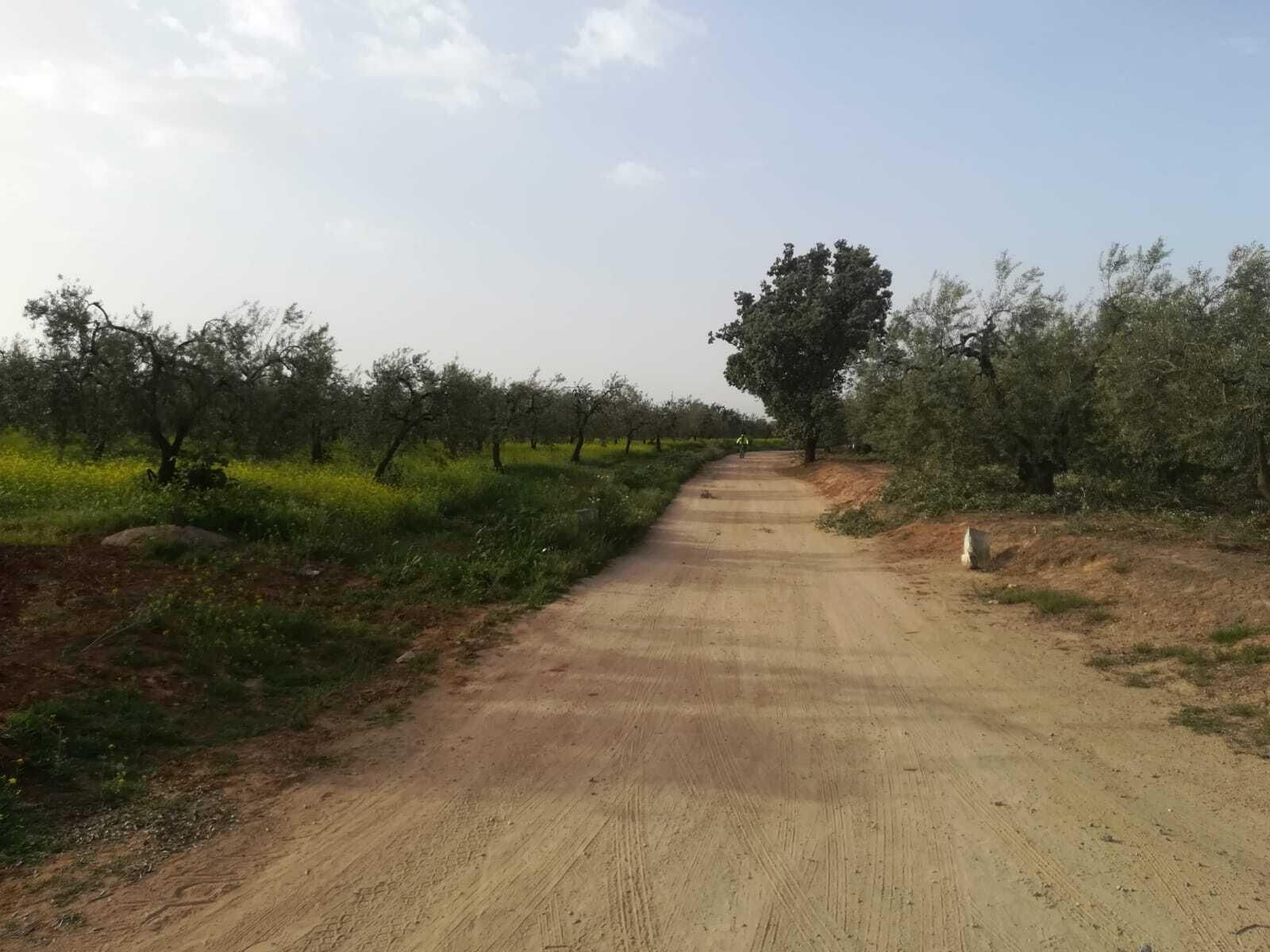 Fotos de la ruta Umbrete-Ermita de Cuatrovitas