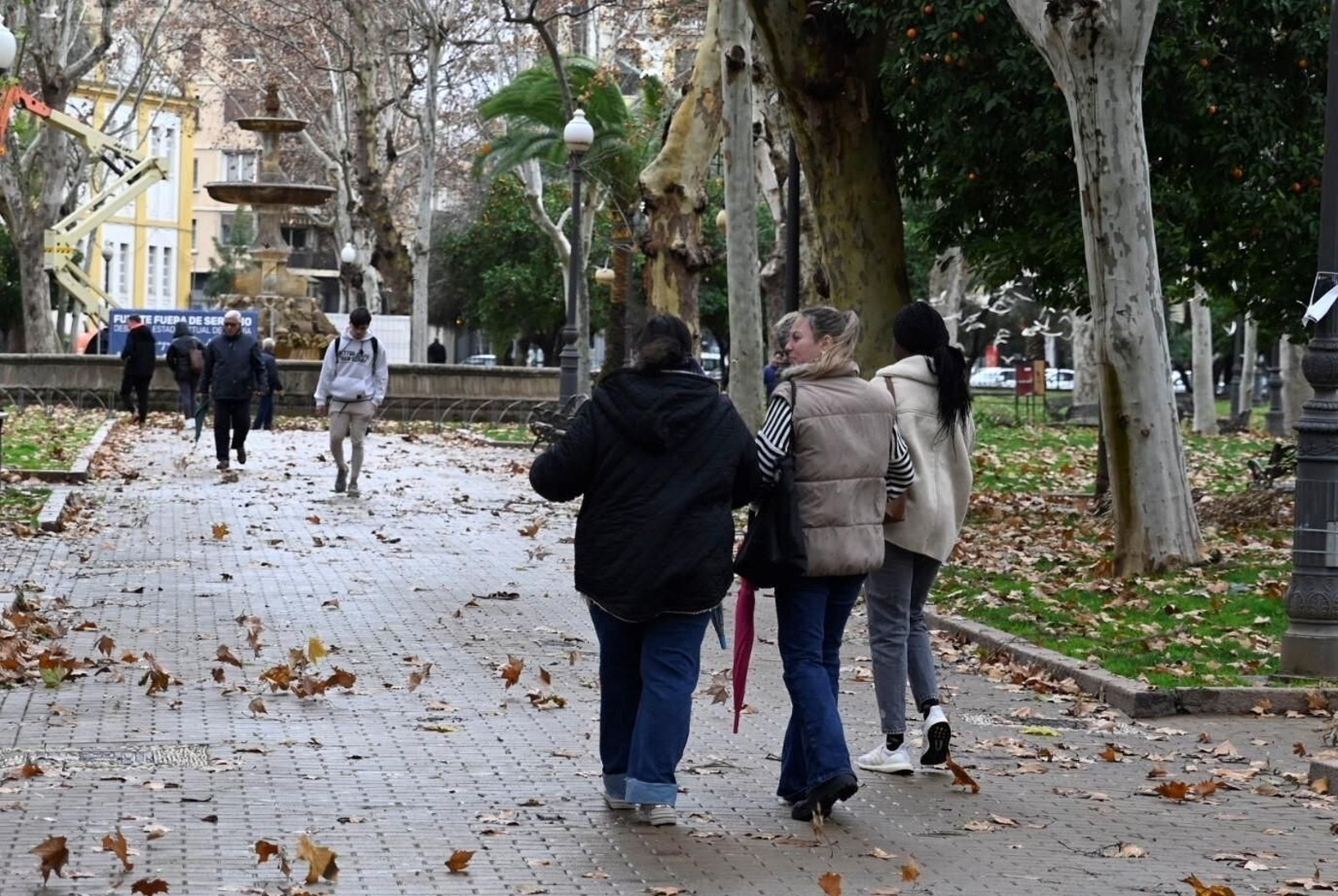 El temporal de viento y lluvia en Córdoba, en imágenes