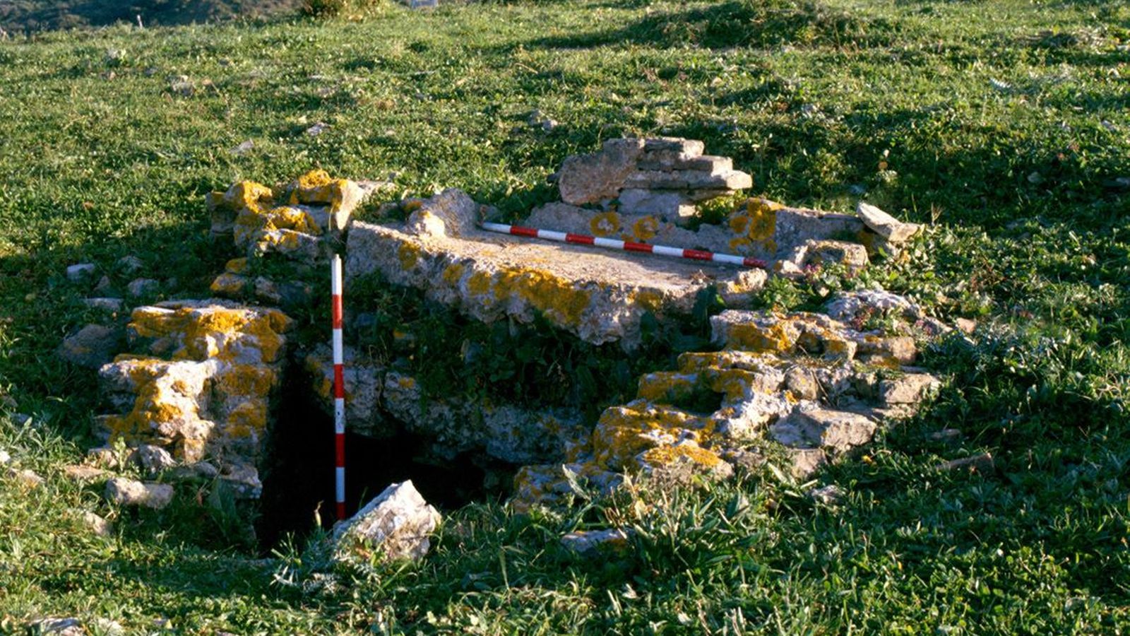 Pileta para salazón y aljibe localizada en una colina situada junto a la desembocadura del río Pícaro, en el asentamiento conocido por las fuentes antiguas como 'Caetaria' o 'Cetraria'.