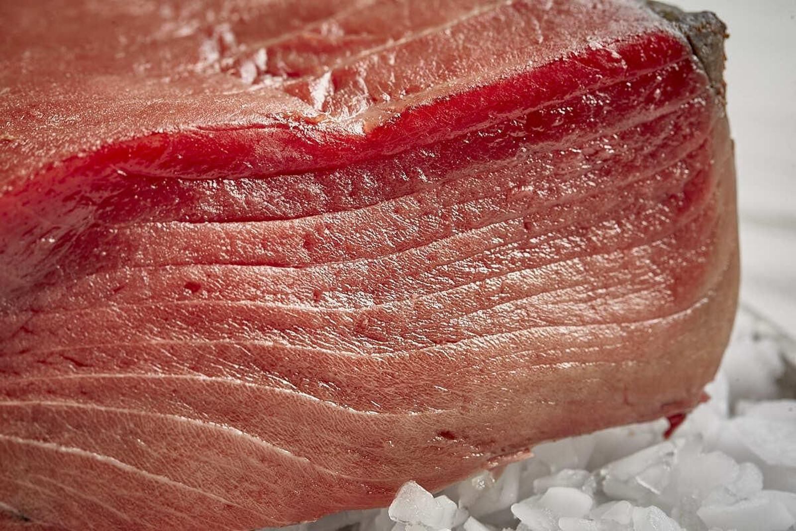 15 templos del atún en la provincia de Cádiz