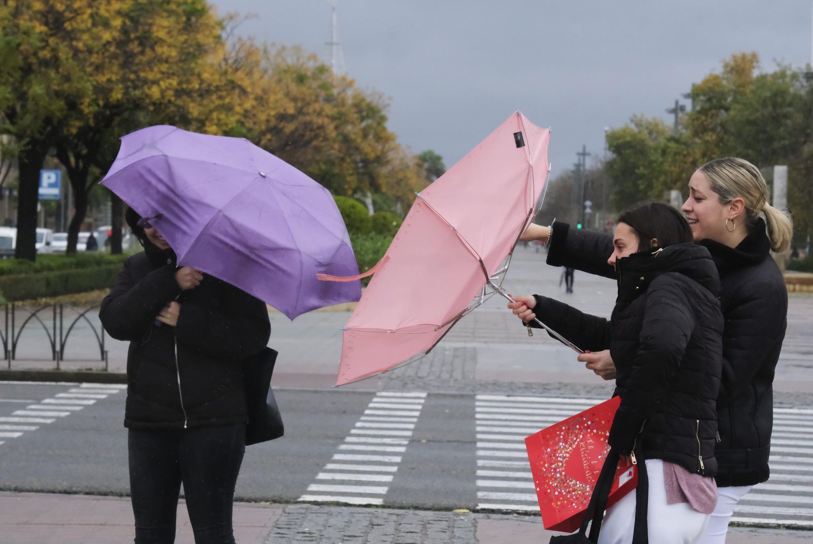 El paso de la borrasca Efraín por Córdoba, en imágenes