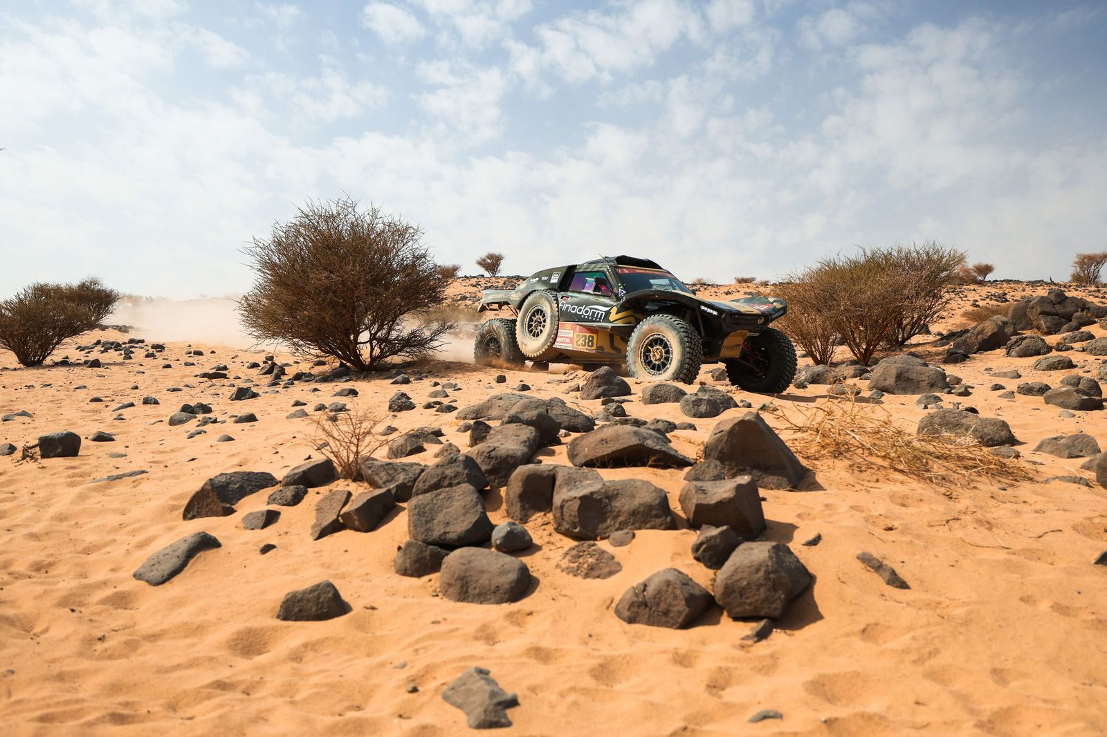 Las mejores fotos del Rally Dakar | undécima etapa