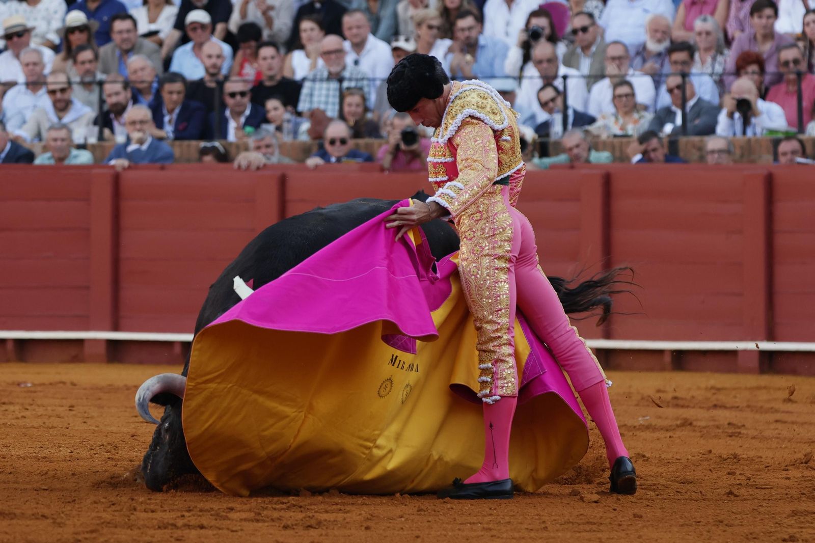 Las imágenes del primer festejo de San Miguel