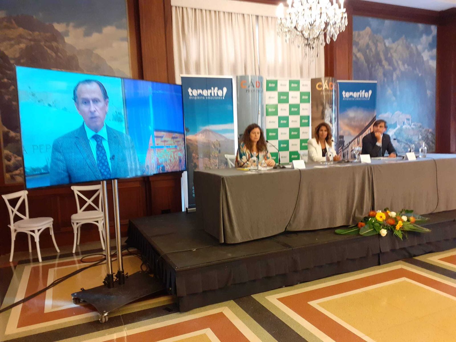 Román interviniendo en las jornadas por videoconferencia.