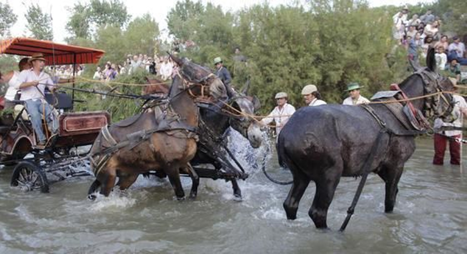 La Hermandad de Triana protagoniza con cientos de peregrinos el multitudinario rito.

Foto: Antonio Pizarro