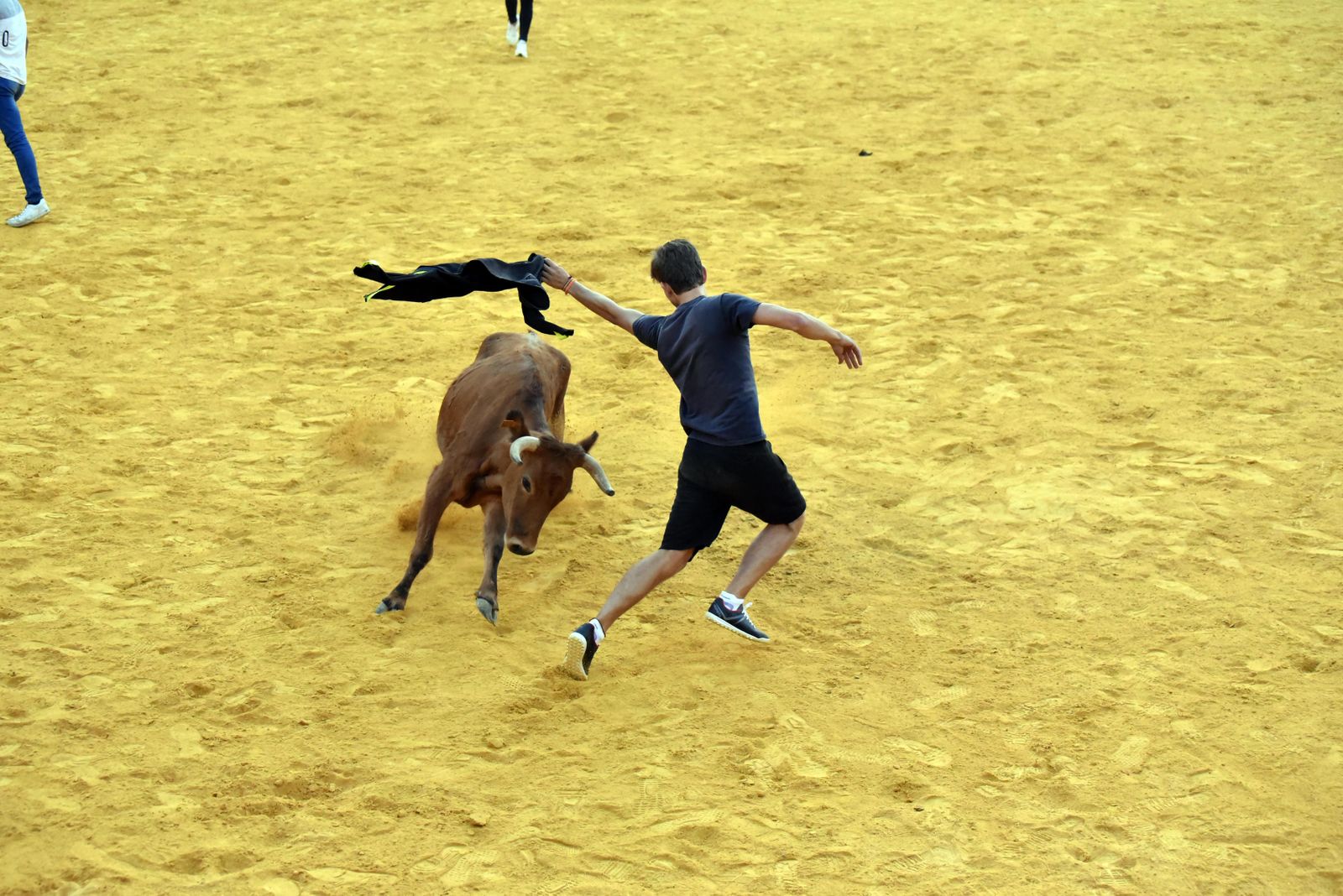 Toro del Aguardiente