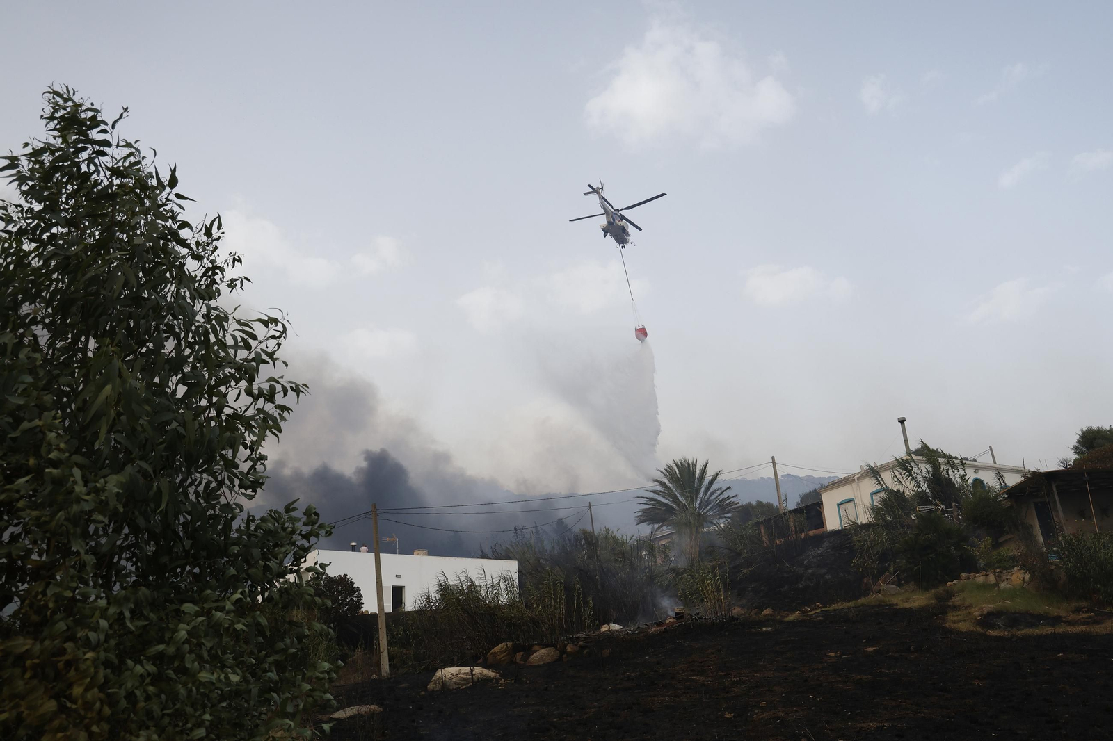 Las fotos del incendio forestal entre la Torre y Valdevaqueros en Tarifa