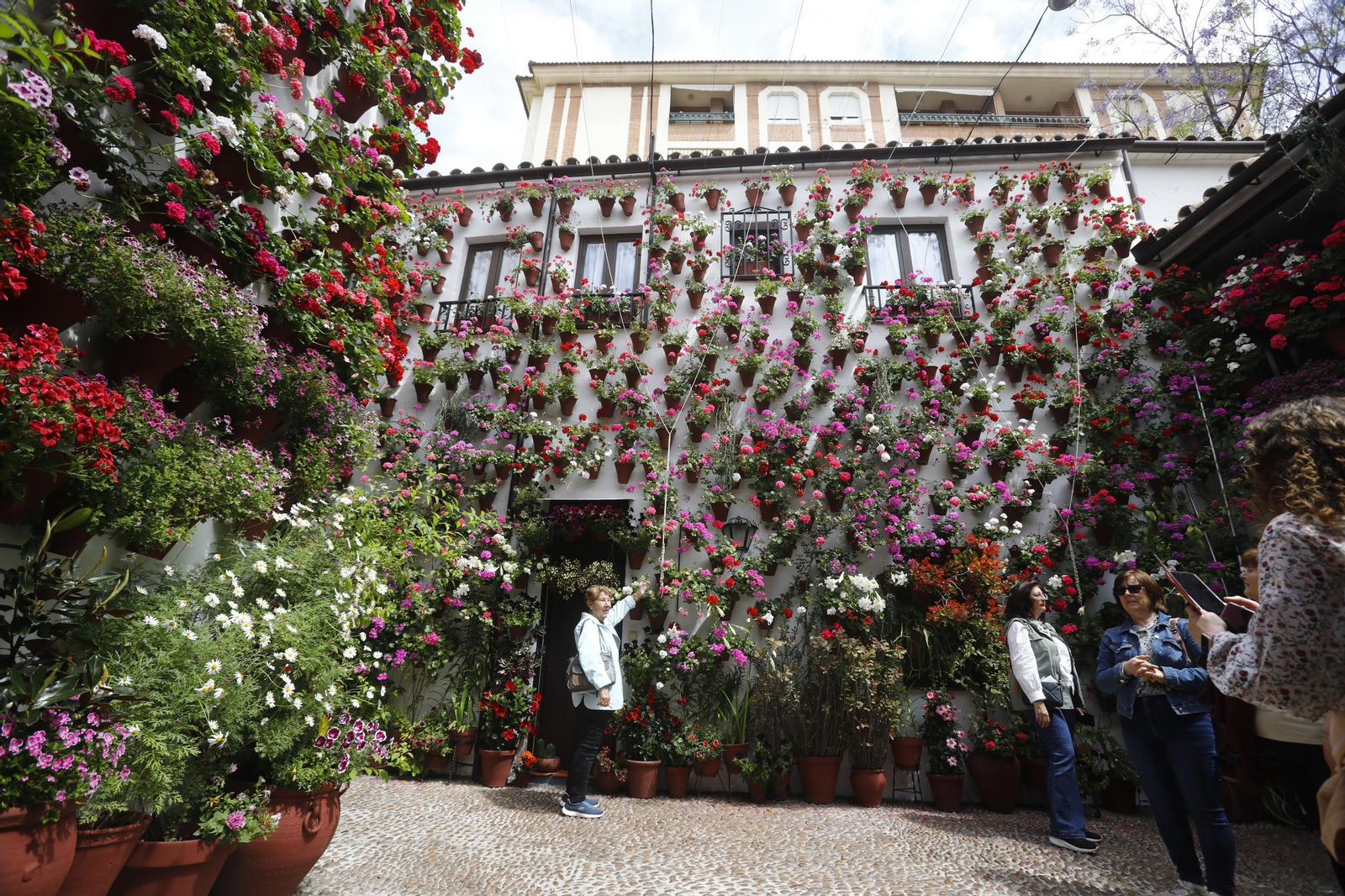 Colas e ilusión en el primer sábado de los Patios de Córdoba, en imágenes