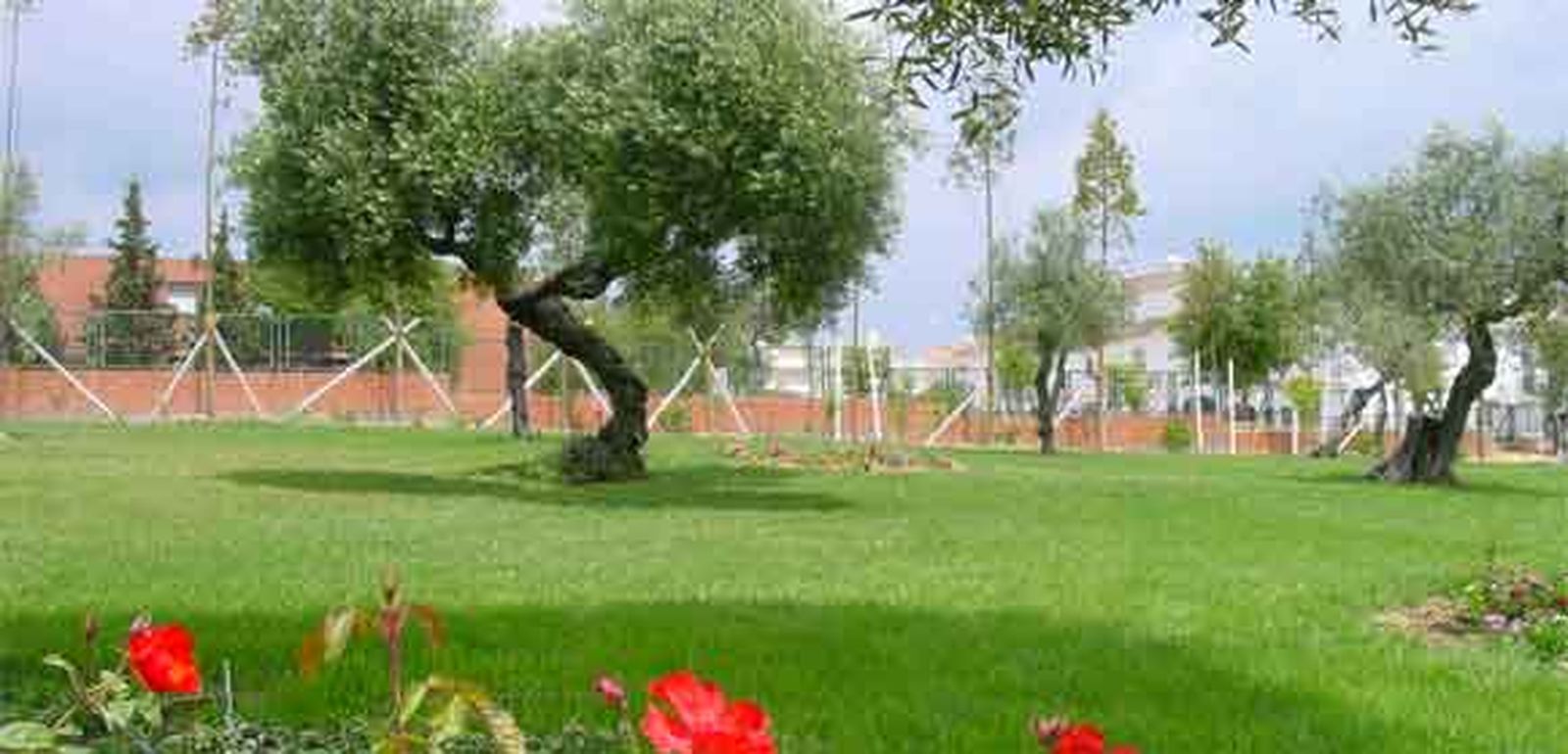 Apuesta por el bienestar