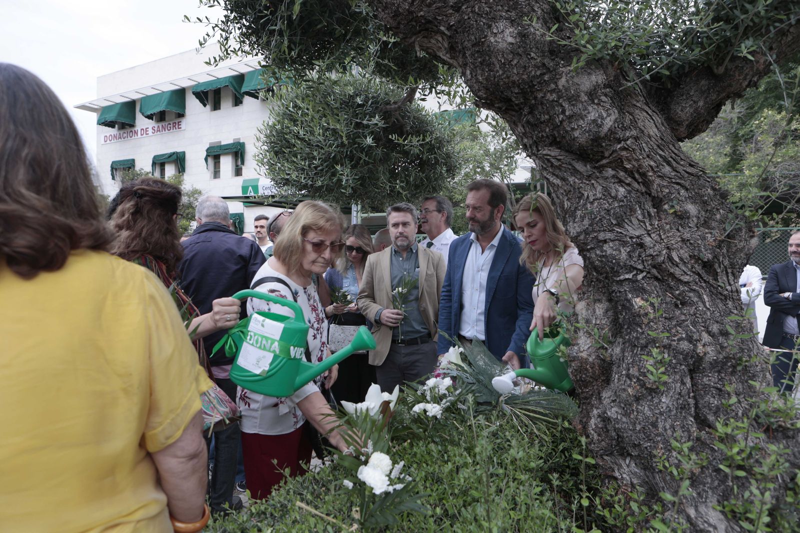 Día Nacional del Donante de órganos