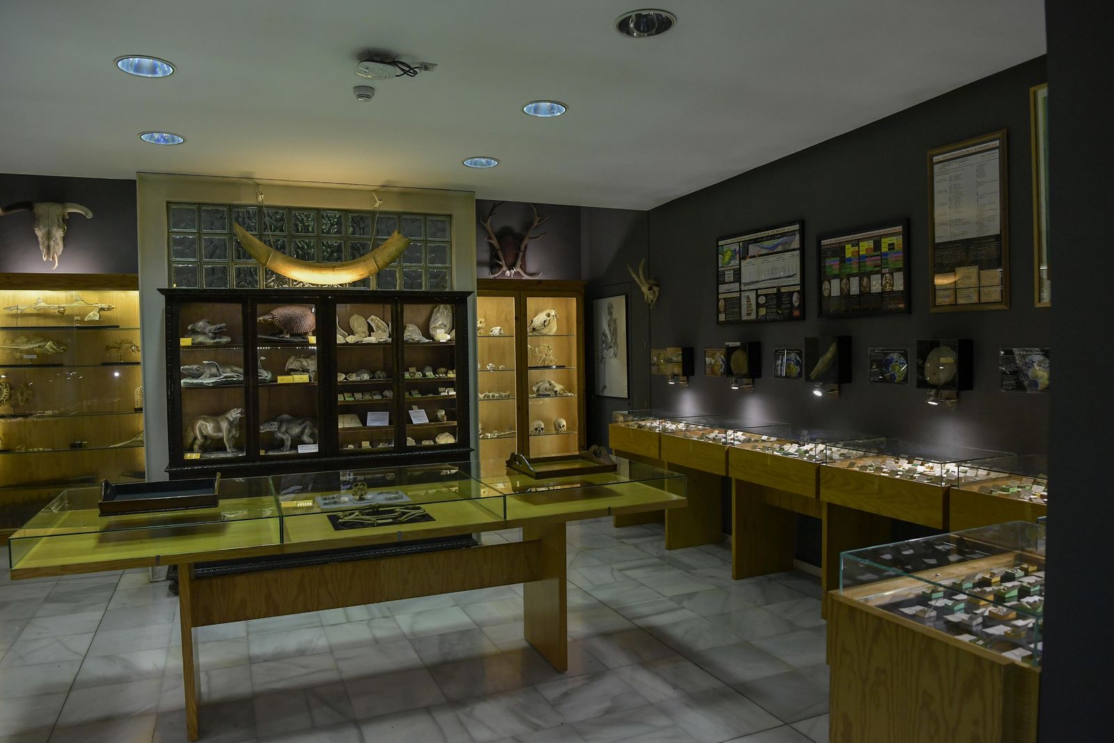 La inauguración del Museo de Ciencia del IES Padre Suárez de Granada, en imágenes