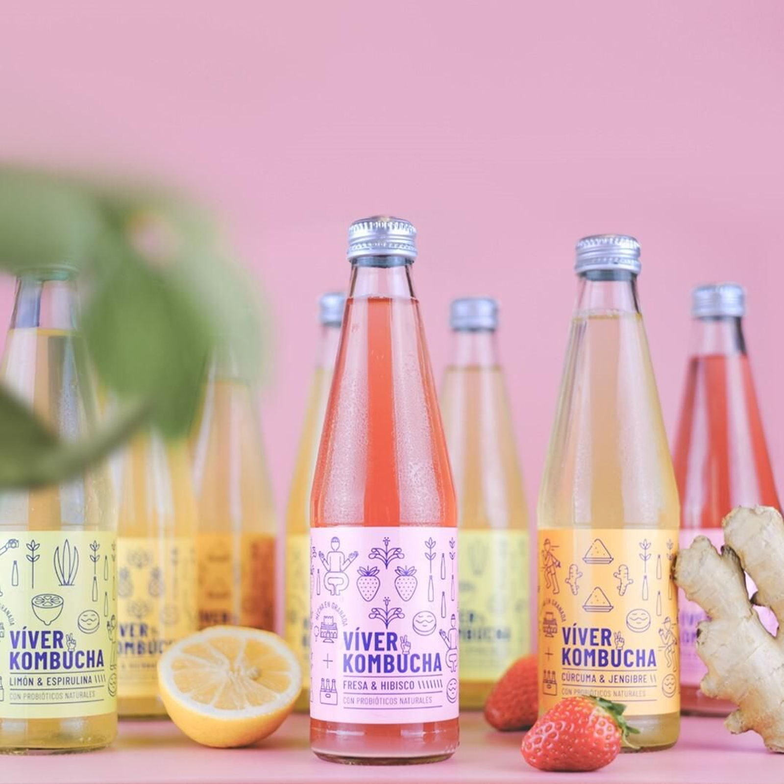 La kombucha se presenta en distintos sabores.