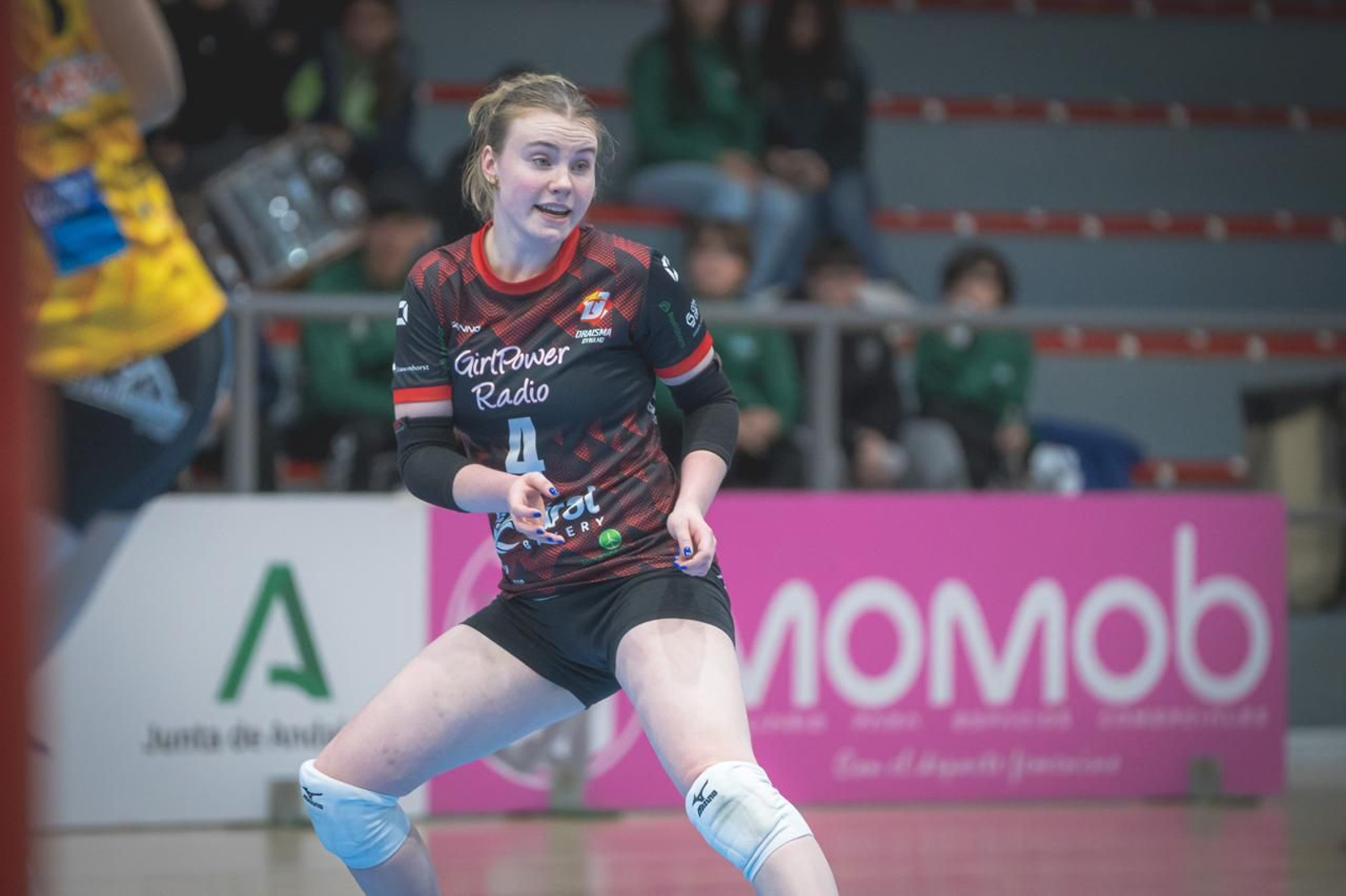 Las fotos del Fundación Cajasol Andalucía-Dynamo Apeldoorn