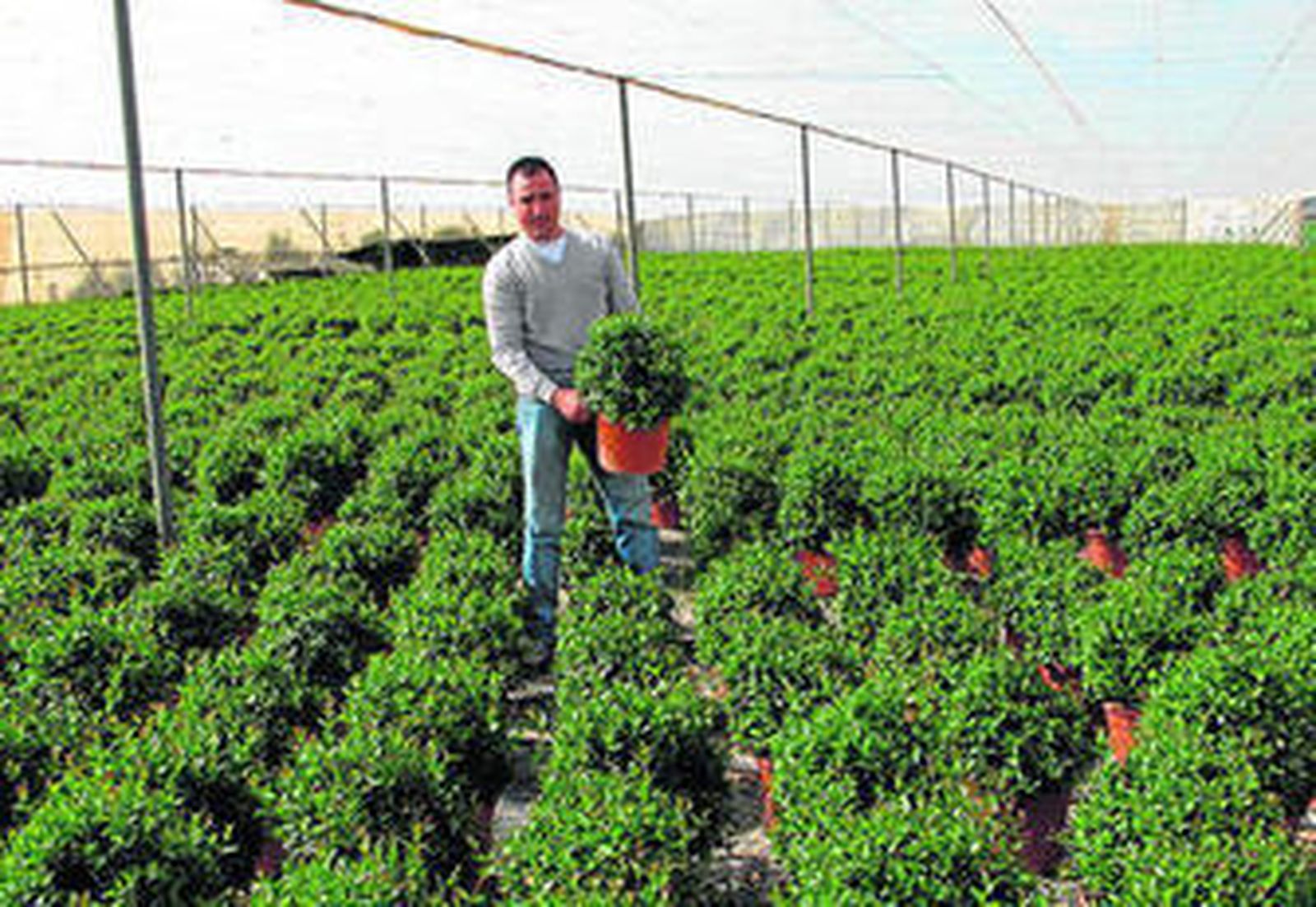 José Miguel Haro, gerente de Viveros Las Cunas