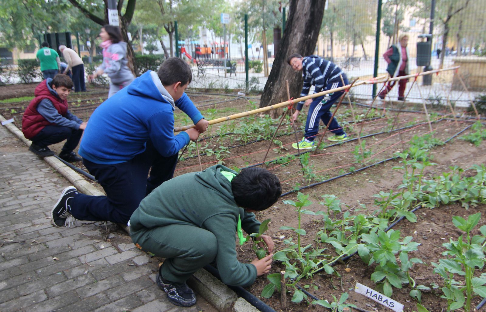 Jóvenes en un Huerto Urbano