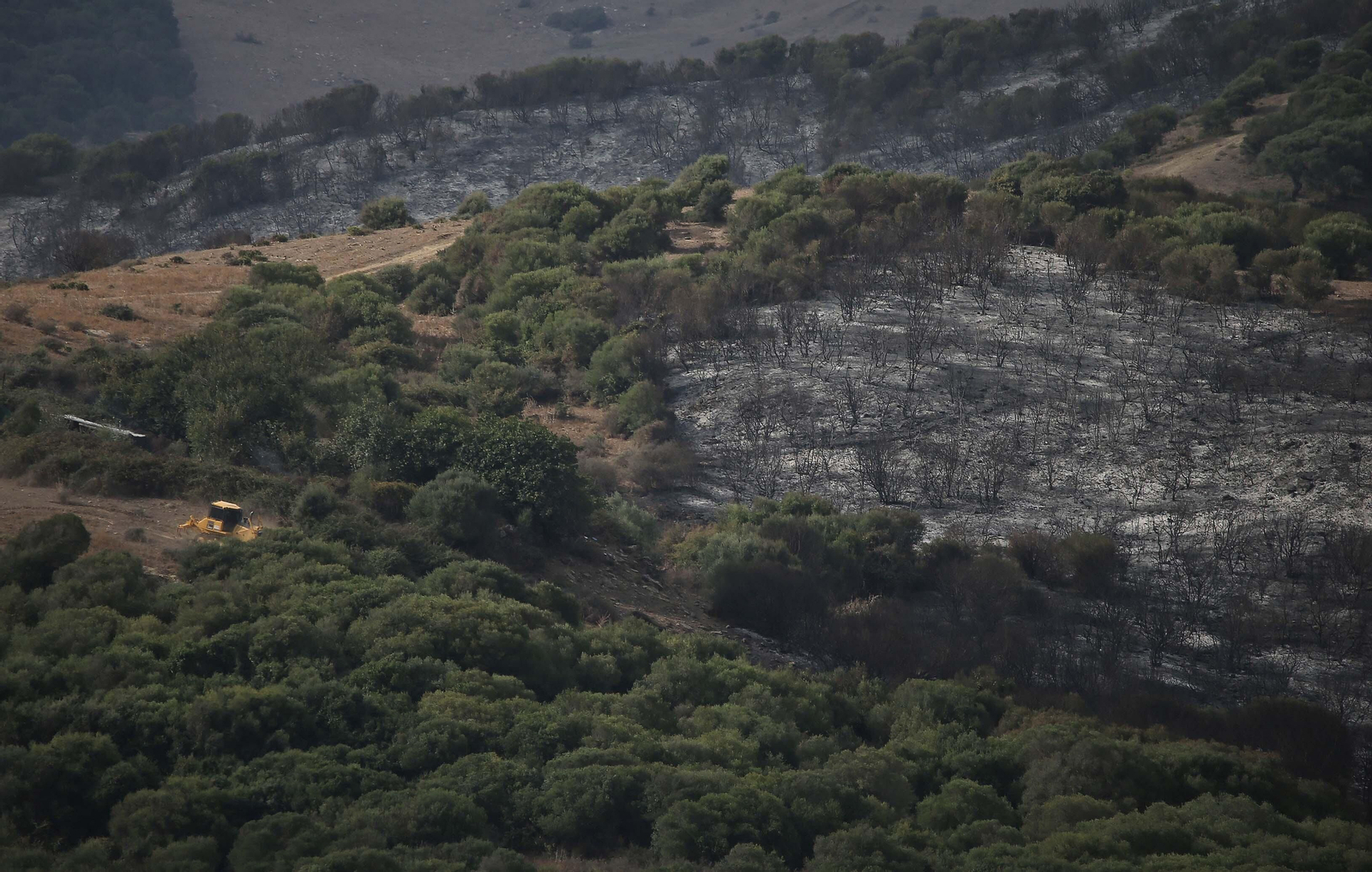 El incendio forestal  de Algeciras, en imágenes
