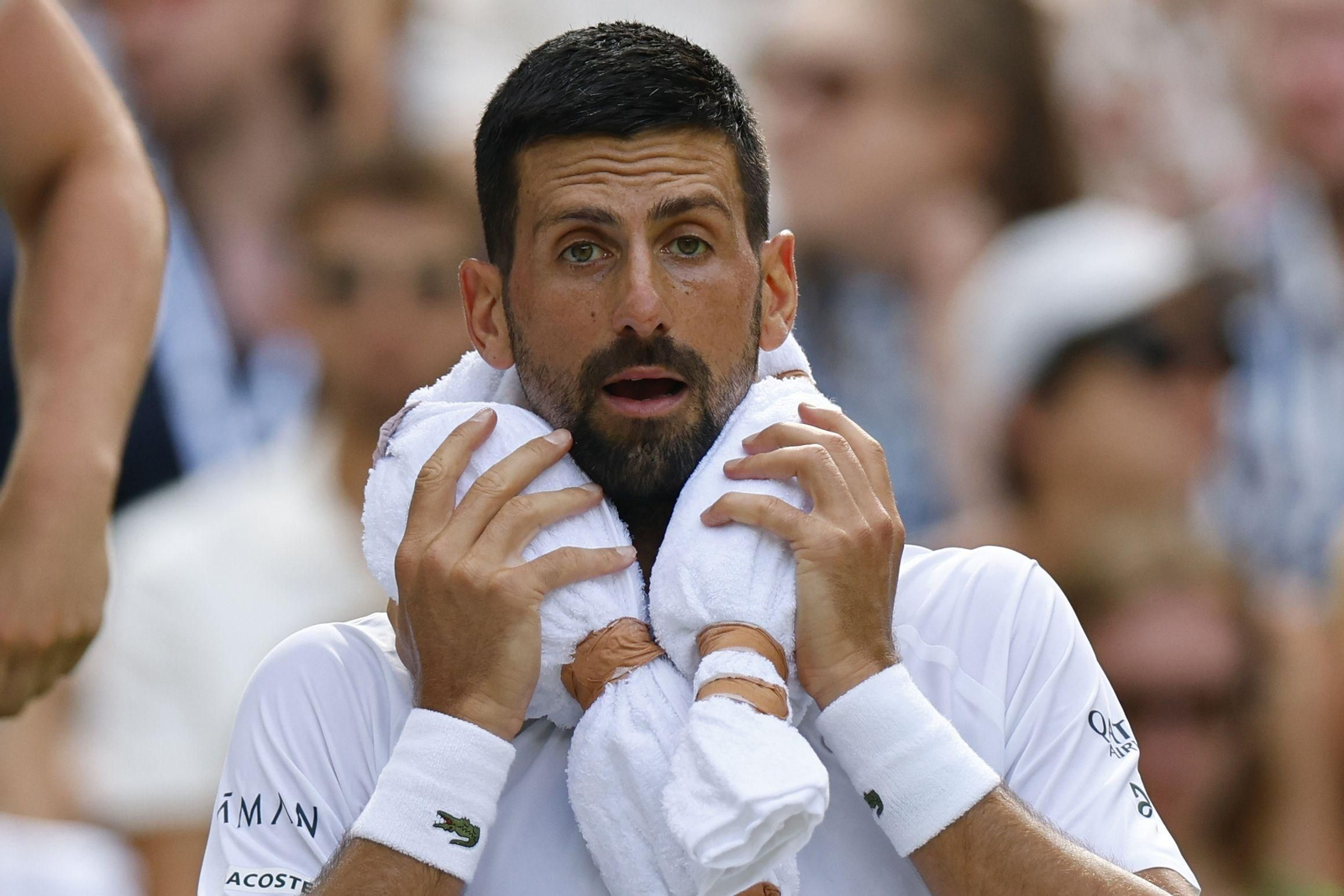 Las fotos de Wimbledon con las clasificaciones de Djokovic y Sinner