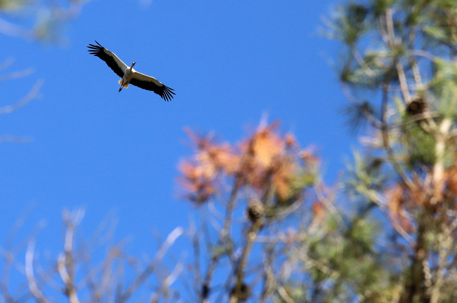 Imágenes del sábado 15 de mayo en Huelva