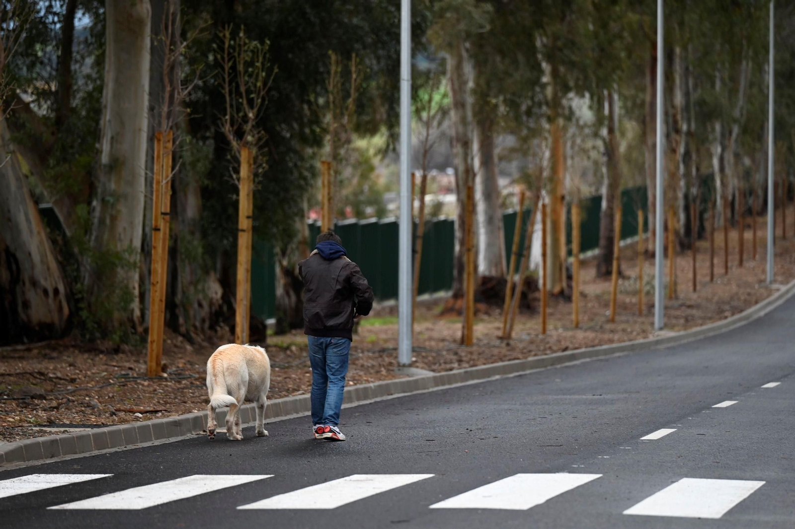 La fase 1A de reurbanización del Campus de Rabanales, en imágenes