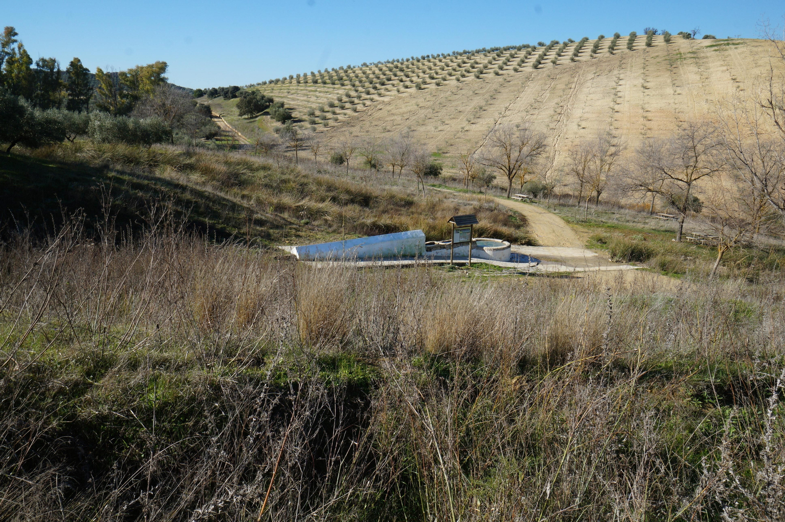 DESCANSAVACAS. Un recorrido por las fuentes históricas de Montilla, en fotografías