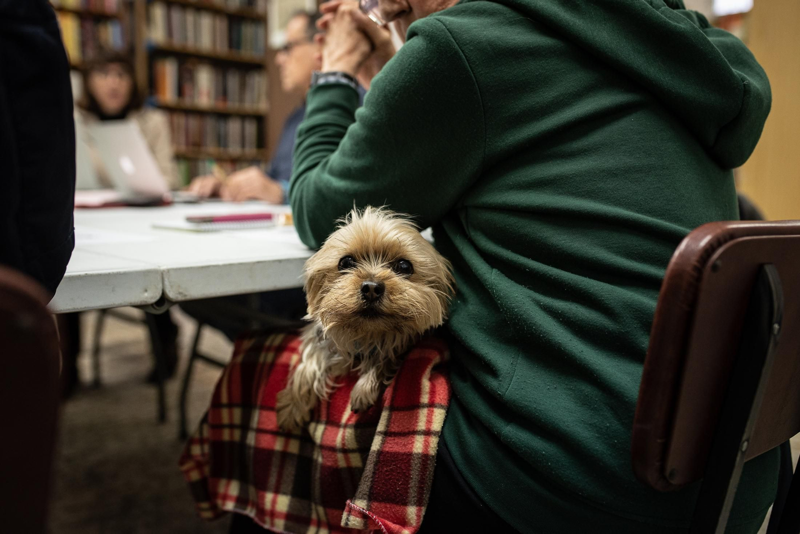 La asociación Ayre Solidario en imágenes
