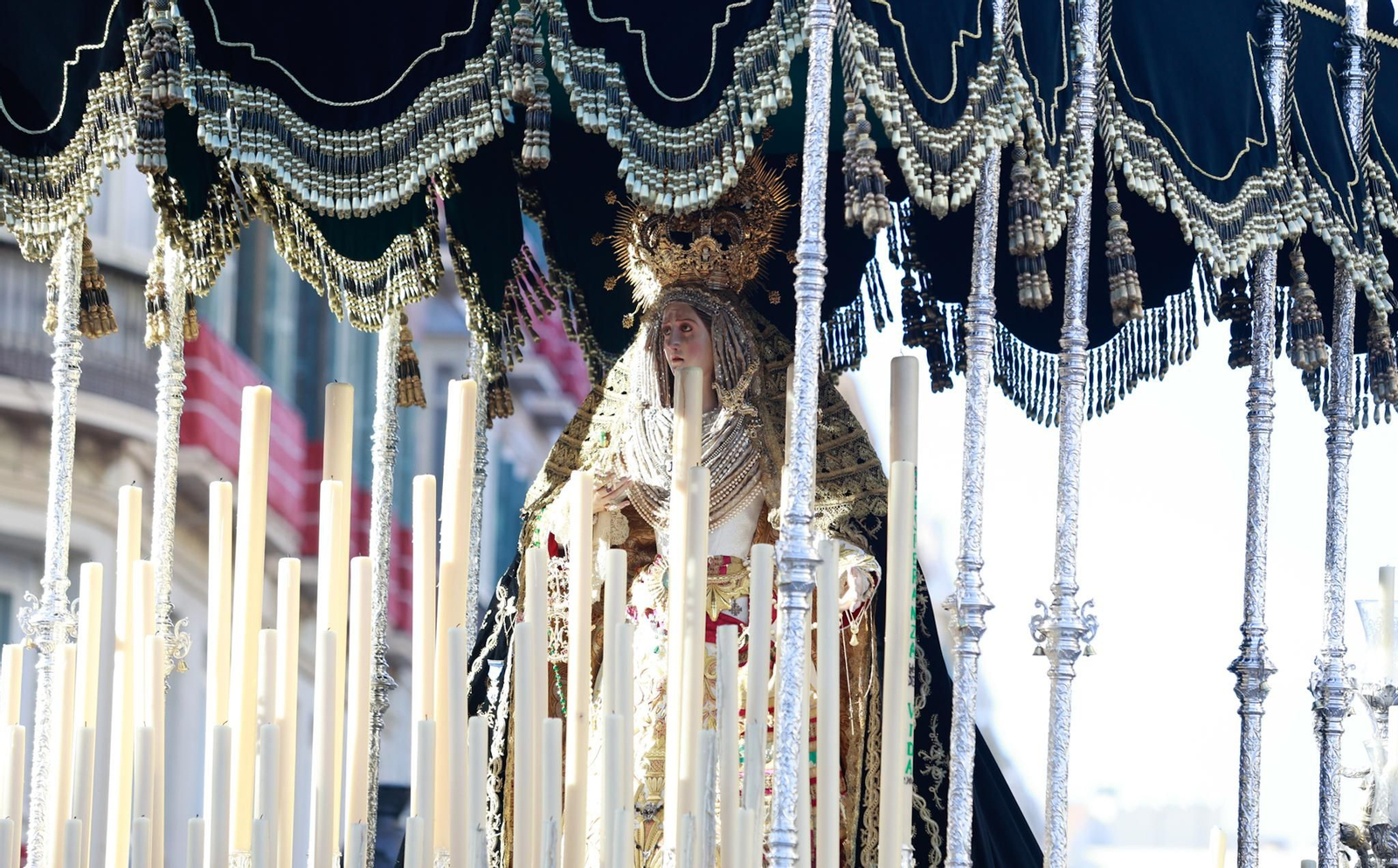 Las fotos de la procesión de Humildad y Paciencia del Domingo de Ramos en Málaga