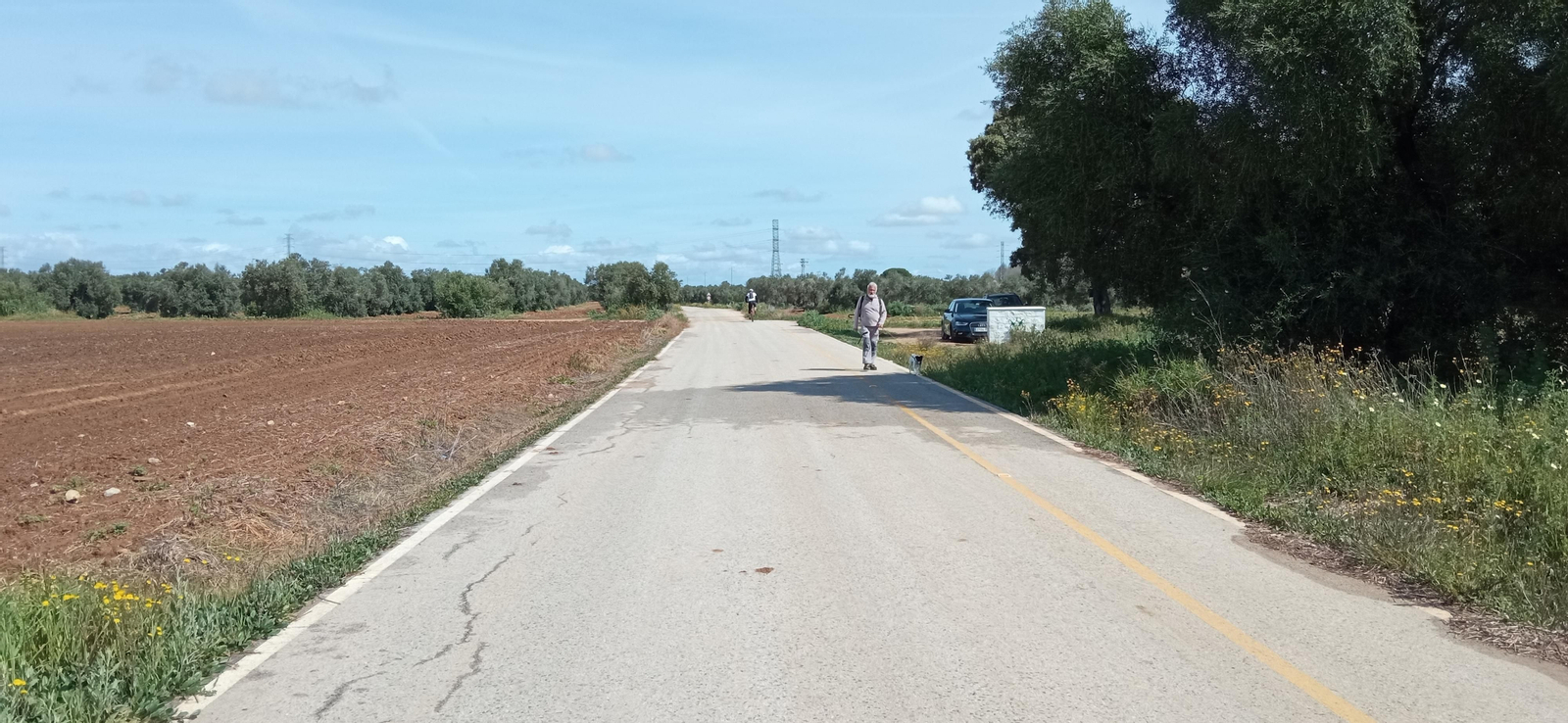 Las imágenes de la Ruta Azul en Bollullos de la Mitación