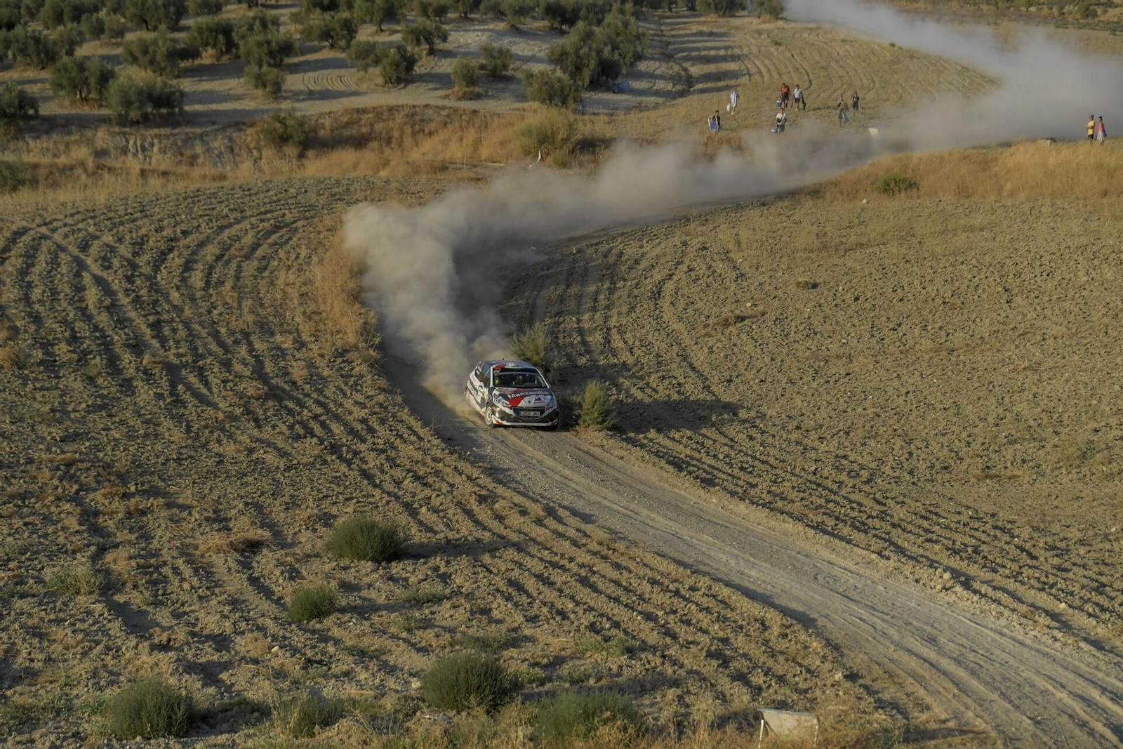 Así ha sido el Rallye Ciudad de Granada, en imágenes