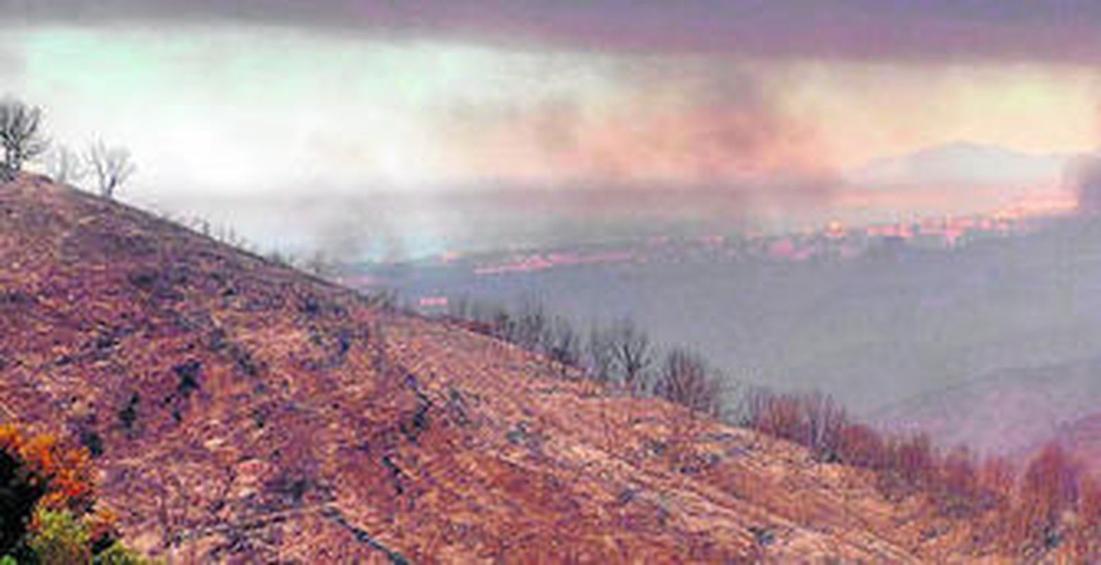 Paraje de la Sierra de Mijas afectado por el incendio.