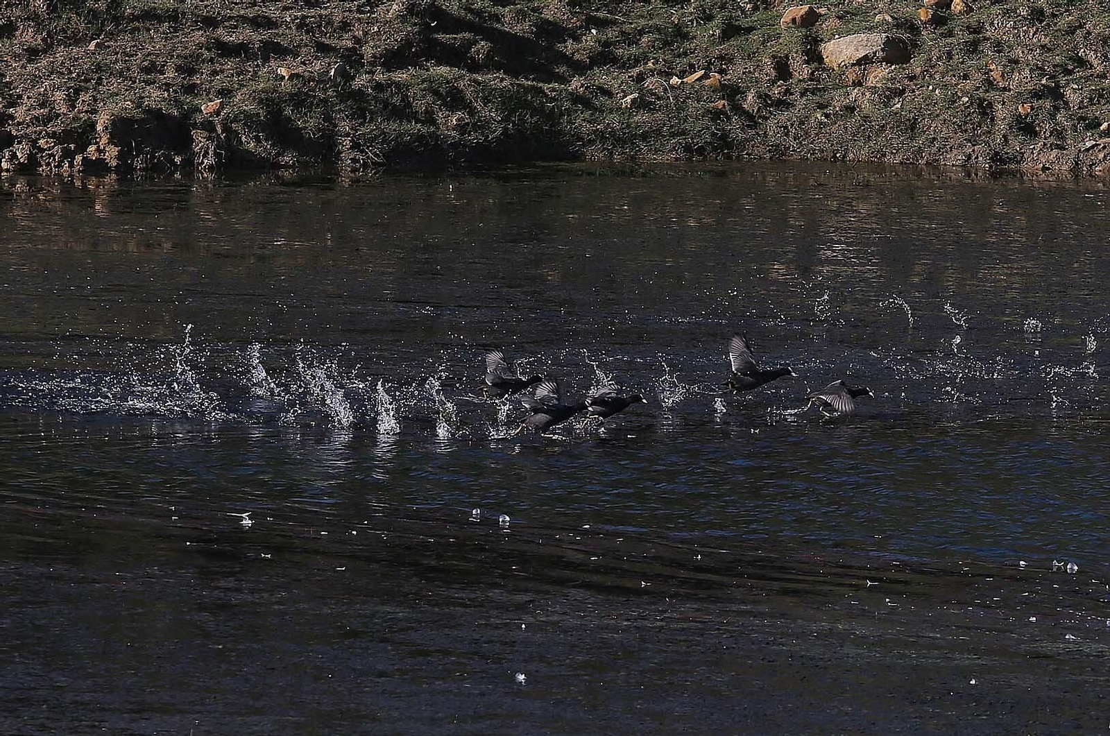 Imágenes del acuífero de la Huerta de Las Pilas en Algeciras