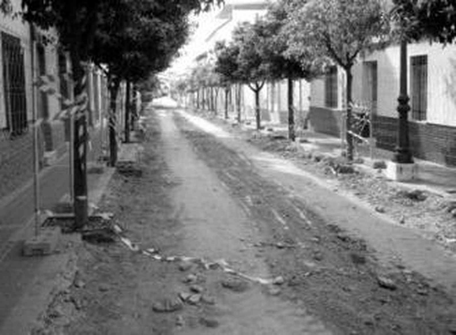 Los comerciantes han impulsado el centro comercial abierto.