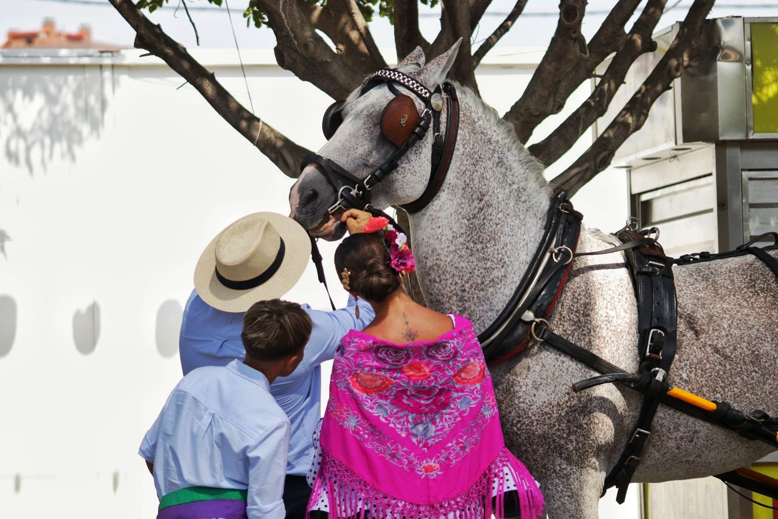 El estreno de la Feria de Málaga en el Real, en imágenes