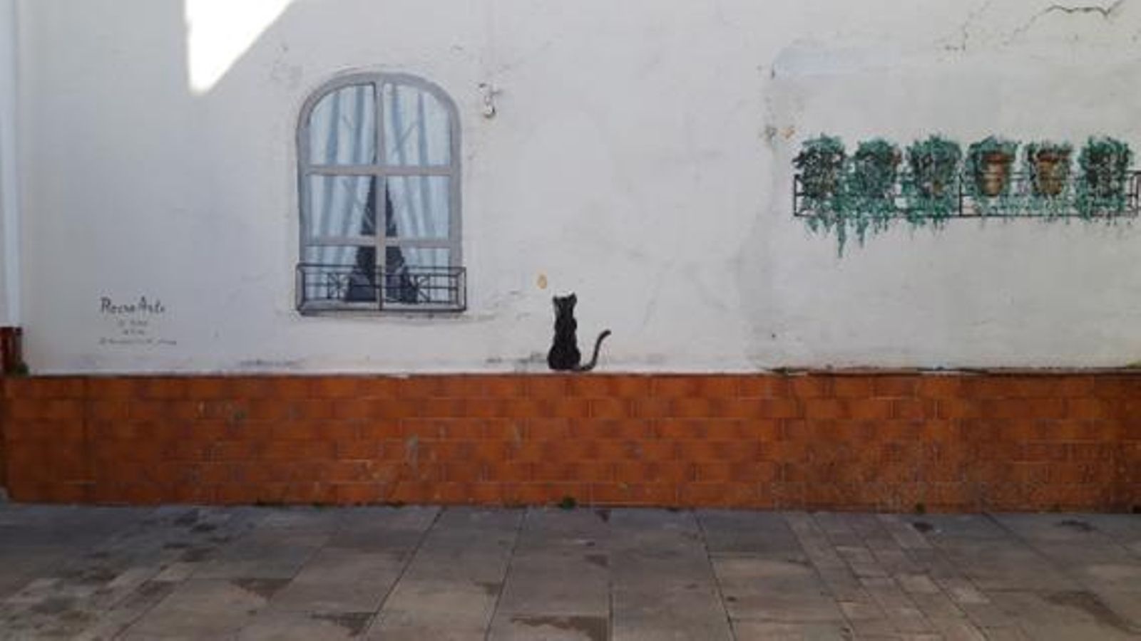 Gato. Gato.