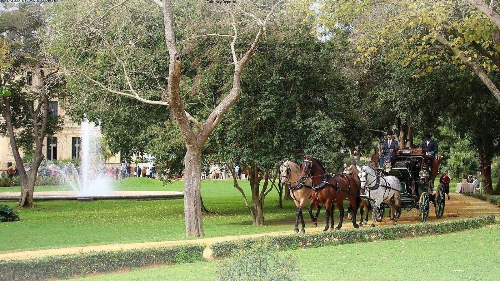 Una imagen de la edición del pasado año.