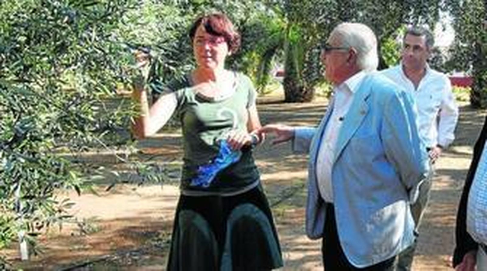 Oro andaluz en botella