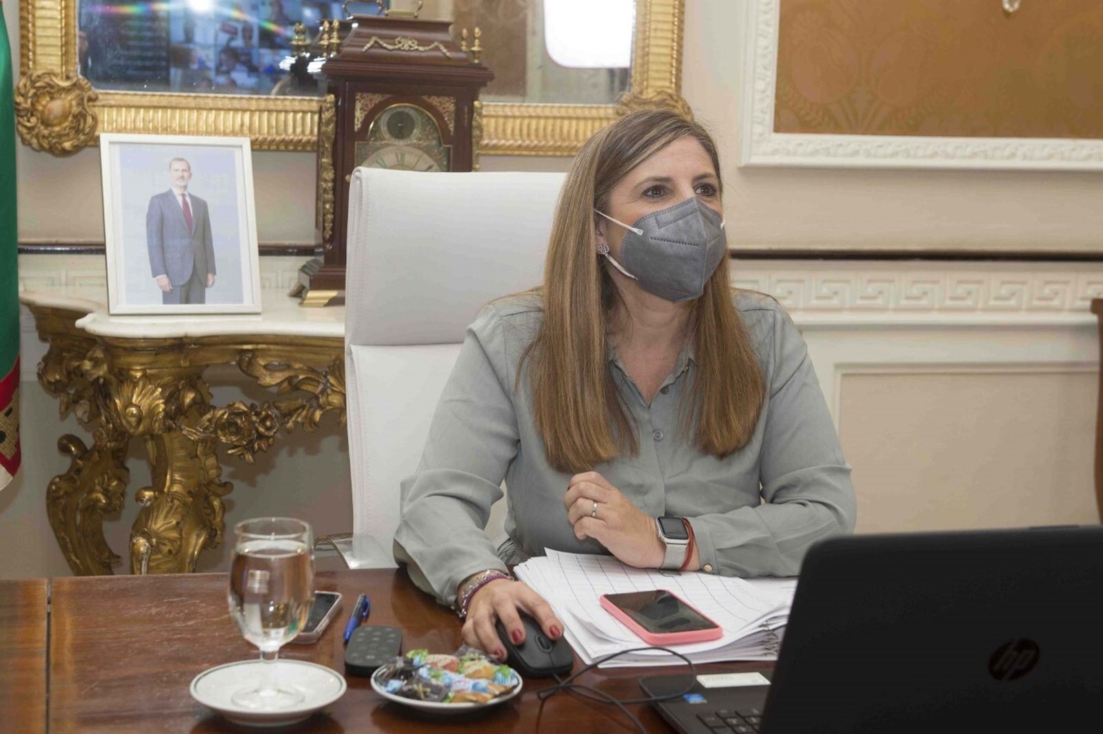 La presidenta de la Diputación durante el pleno telmático de junio.